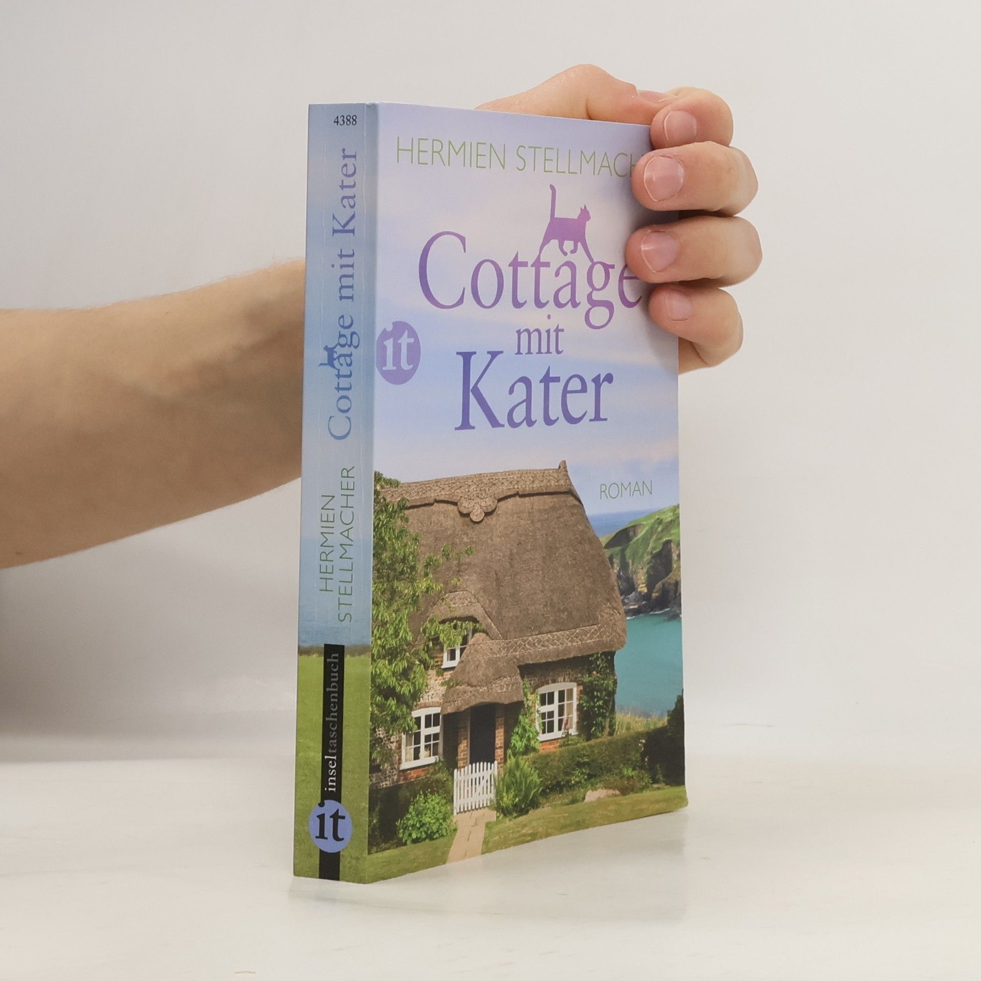 Hermien Stellmacher Cottage mit Kater