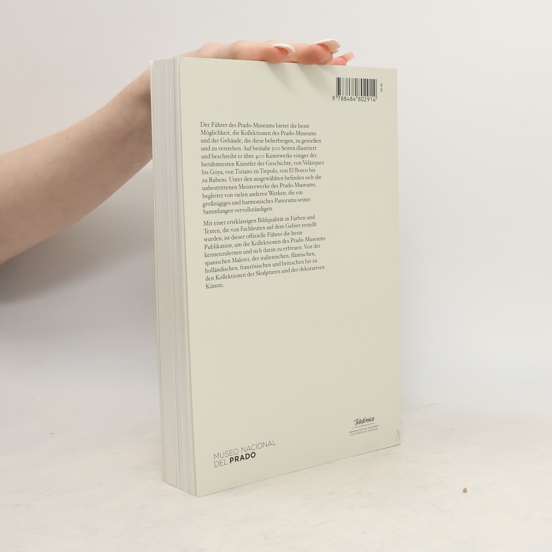 Autores varios Museumsführer des Prado