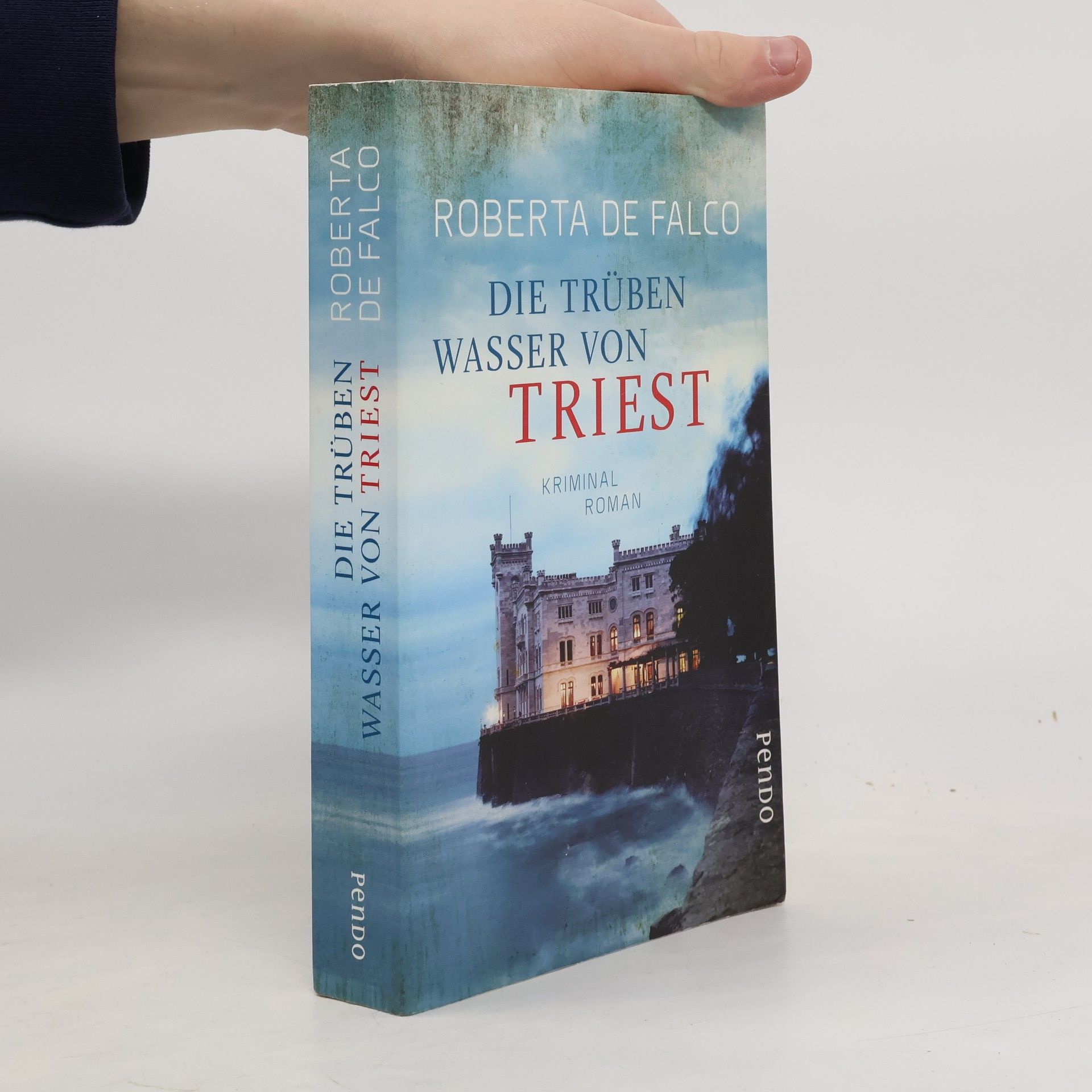 Roberta de Falco Die trüben Wasser von Triest