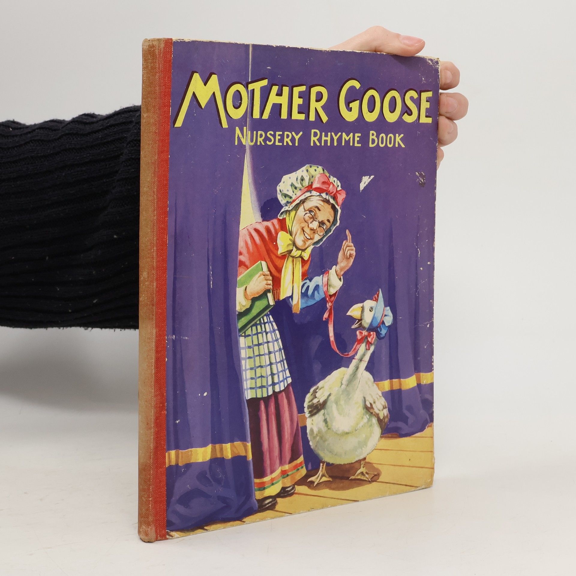 Kolektiv autorů Mother Goose Nursery Rhyme Book