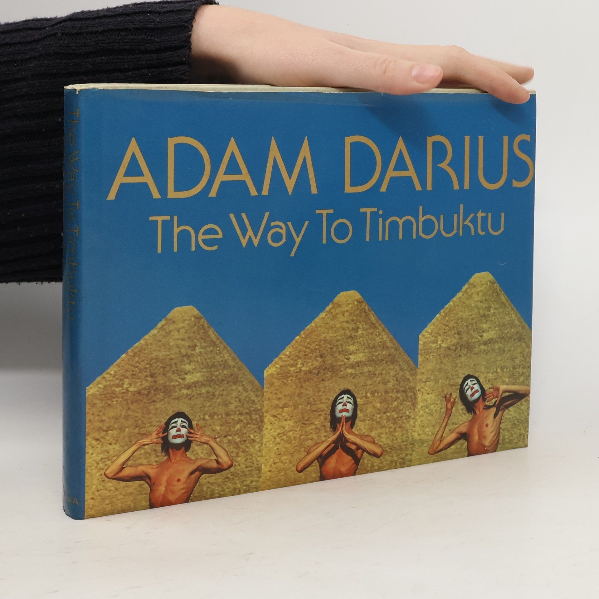 Adam Darius The Way to Timbuktu