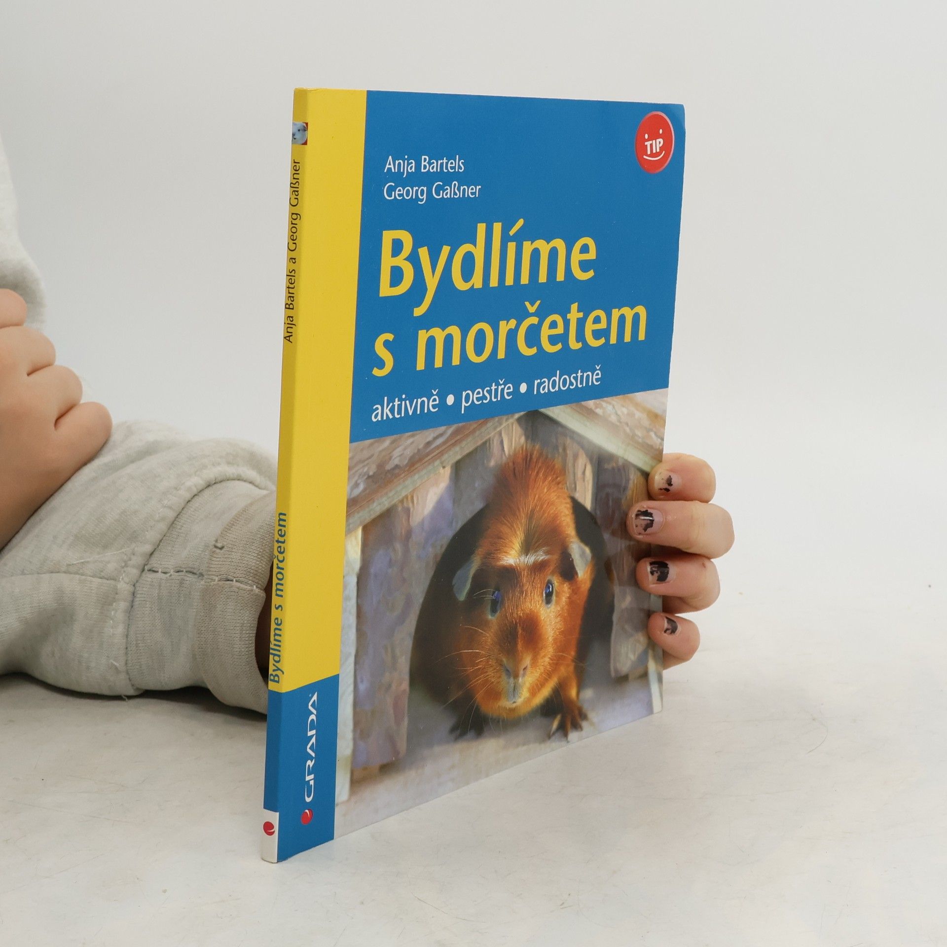 Bydlíme s morčetem