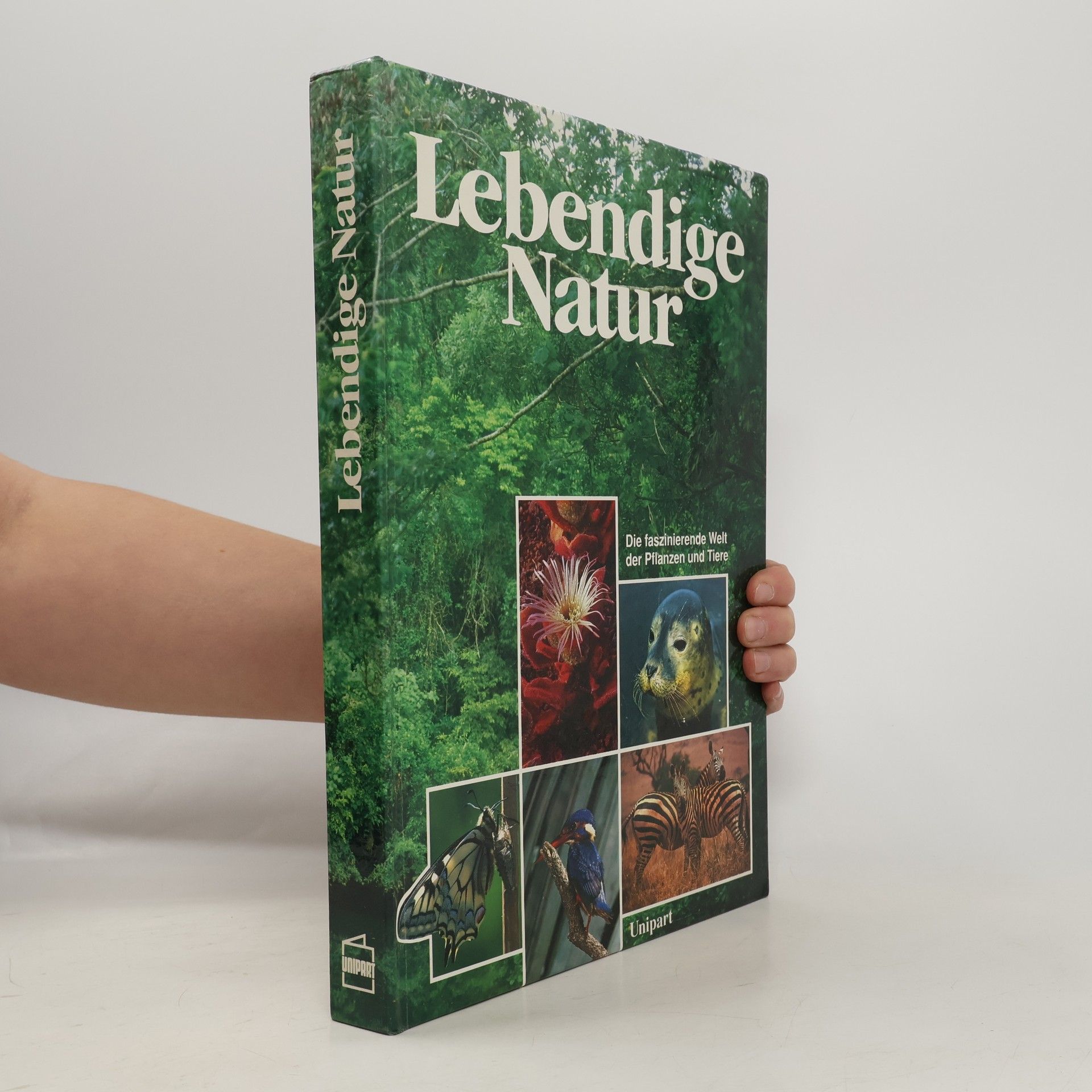 Teresa Farino Lebendige Natur