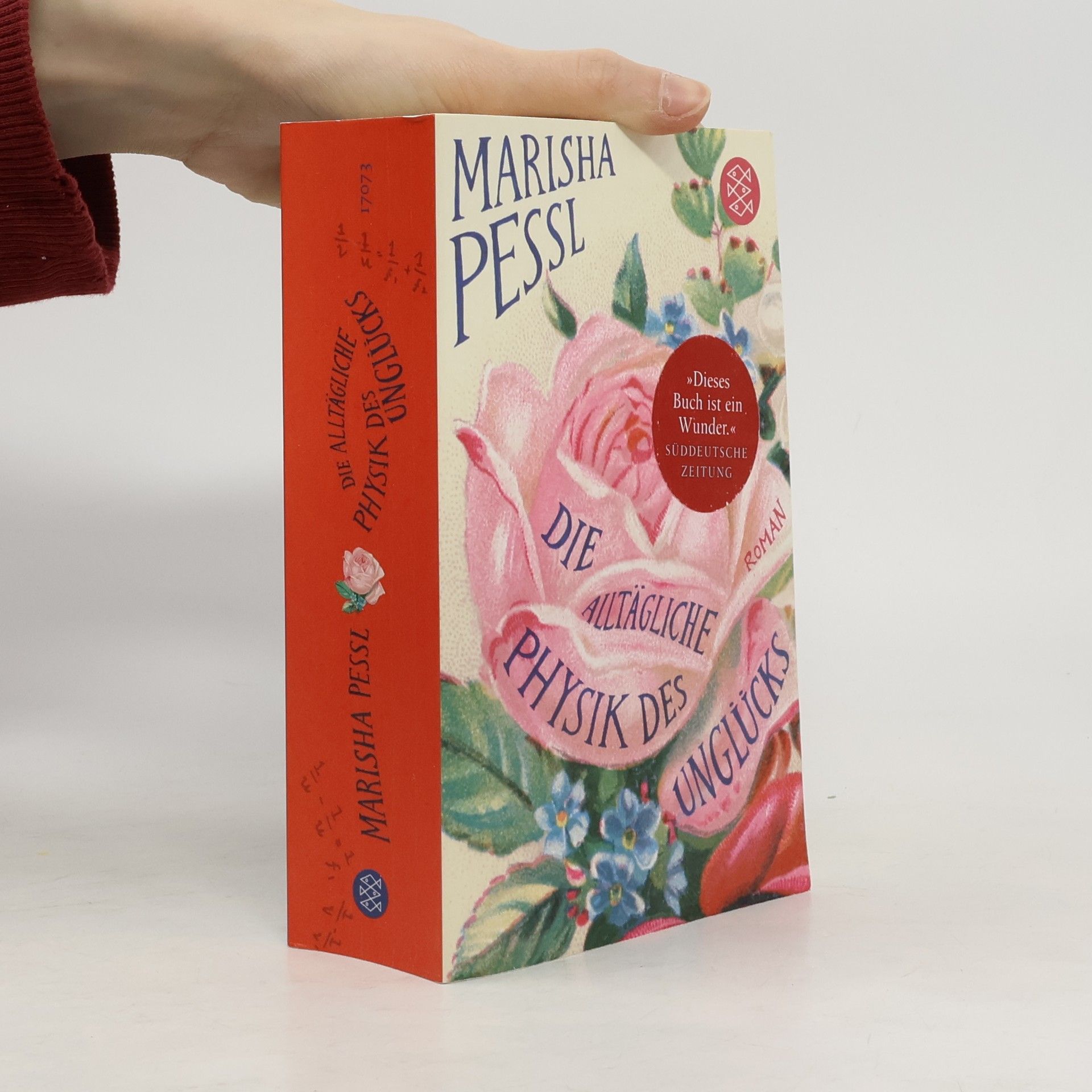 Marisha Pessl Die alltägliche Physik des Unglücks