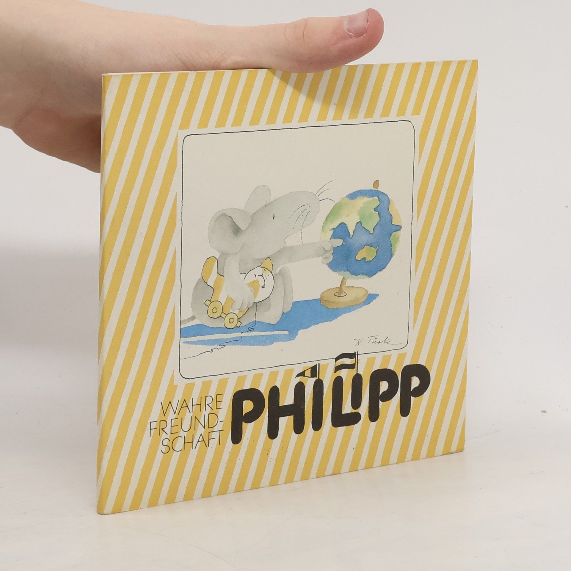 Hanne Türk Ein Philipp-Buch