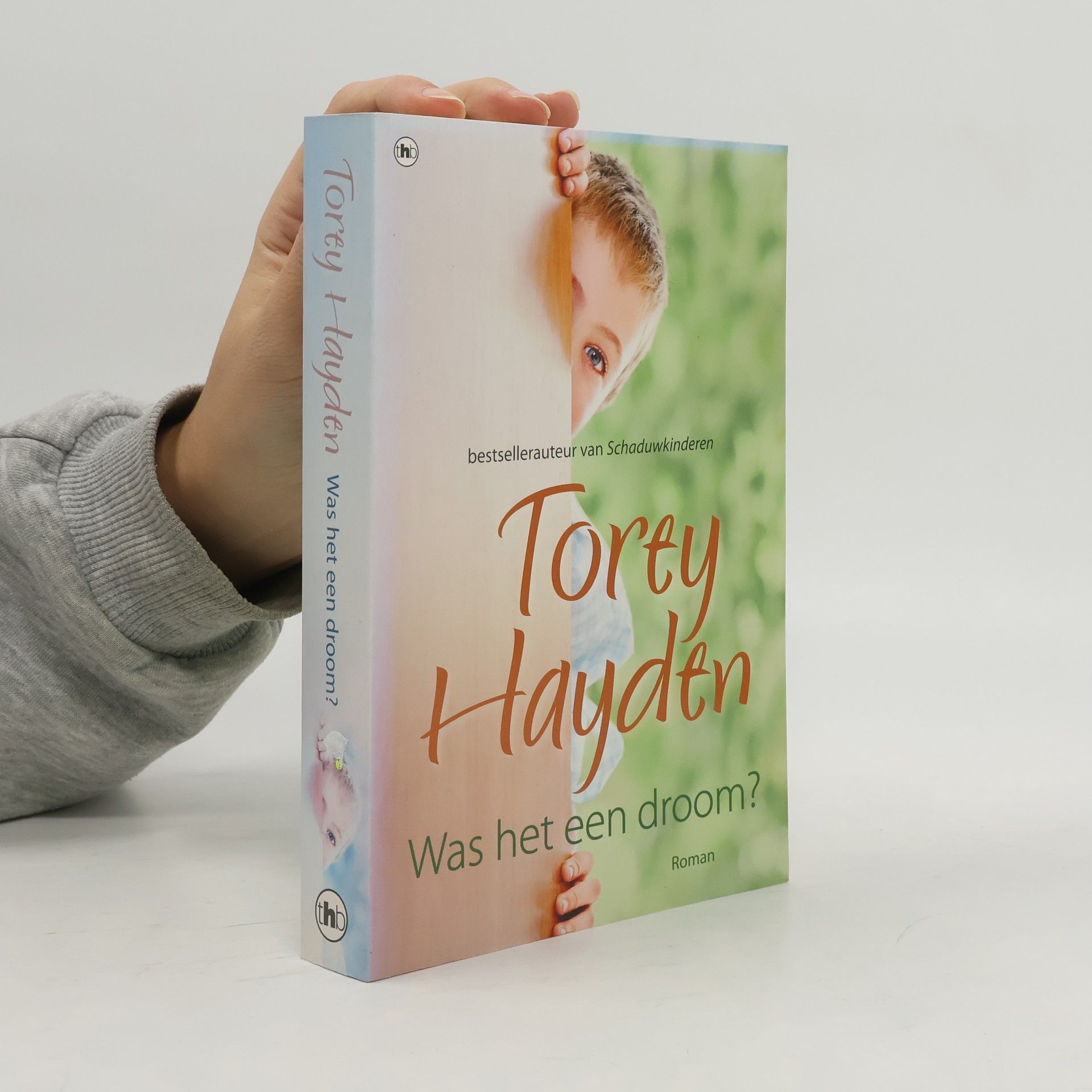 Torey L. Hayden Was het een droom? / druk 1