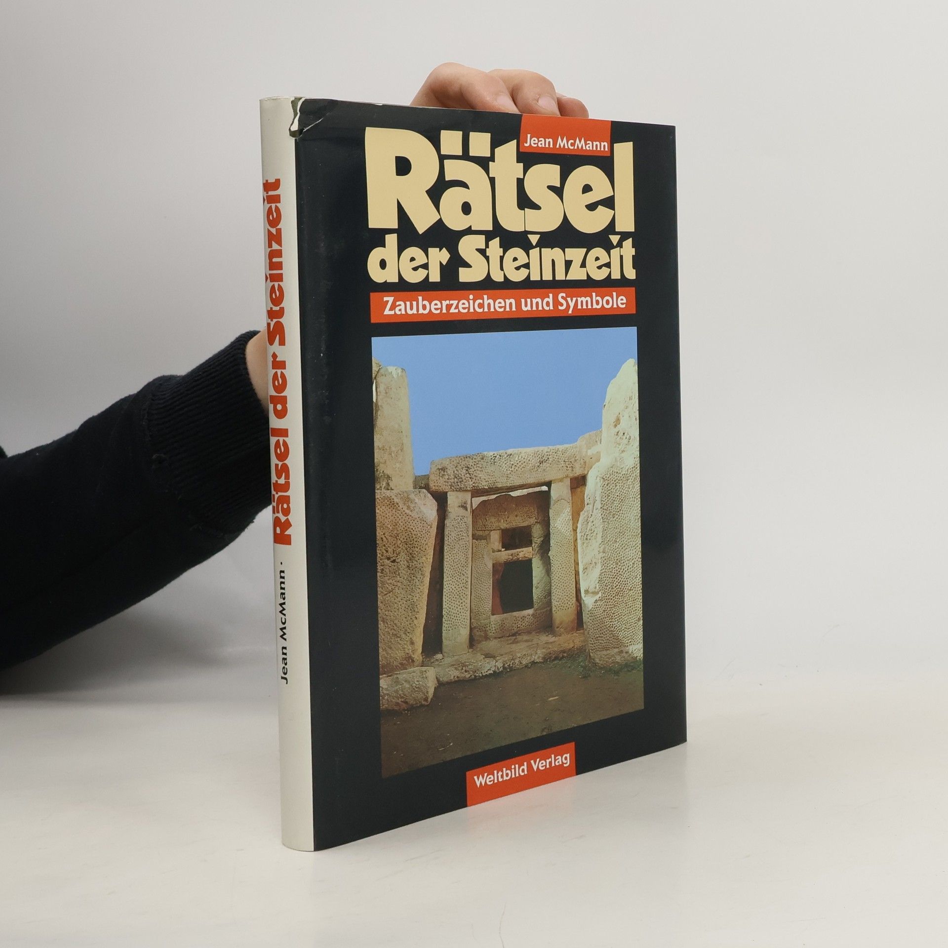 Jean McMann Rätsel der Steinzeit