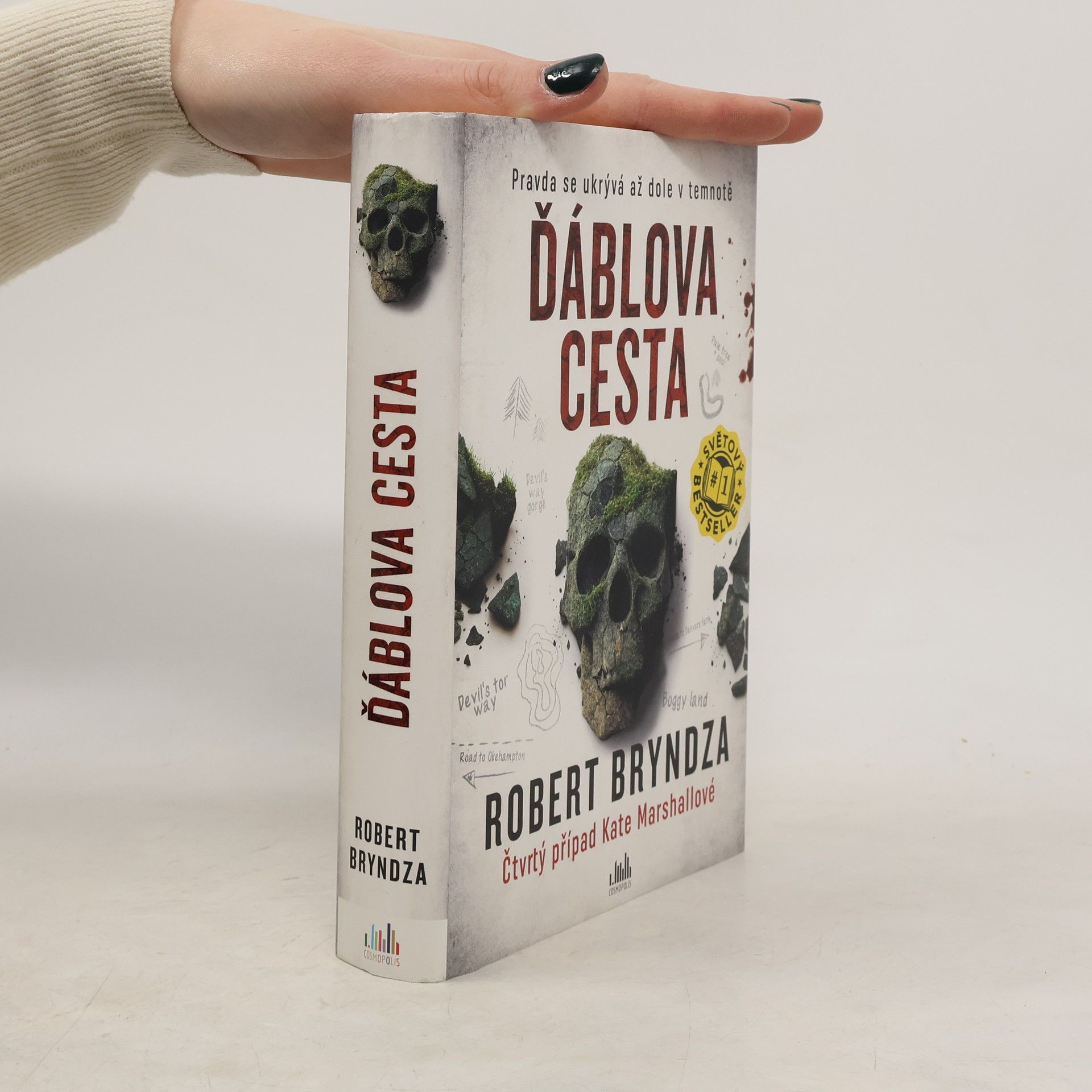 Robert Bryndza Ďáblova cesta