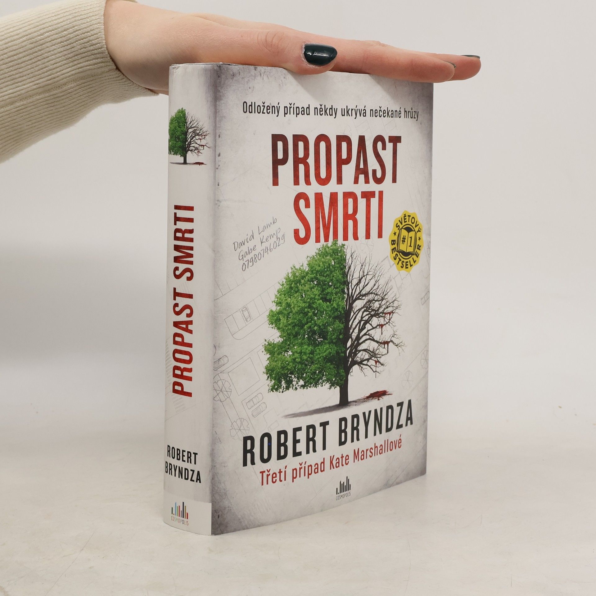 Robert Bryndza Propast smrti