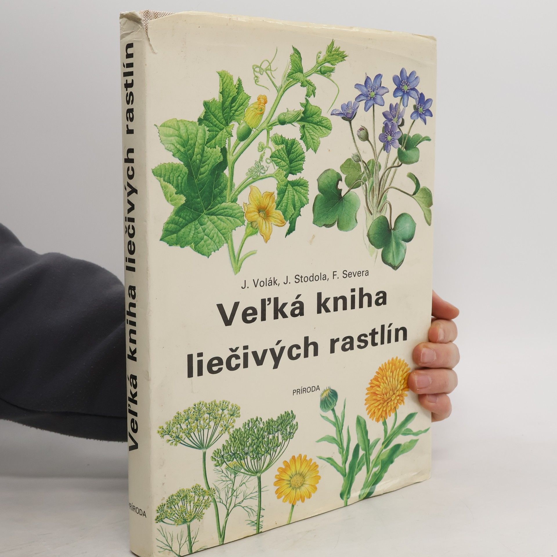 Veľká kniha liečivých rastlín