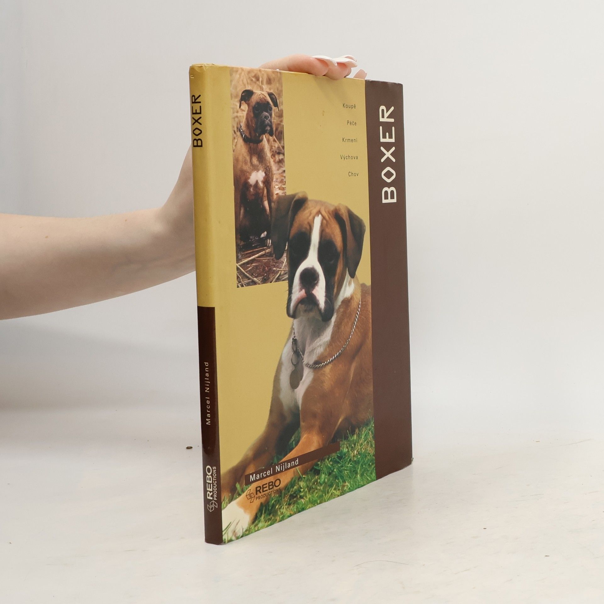 Marcel Nijland Boxer