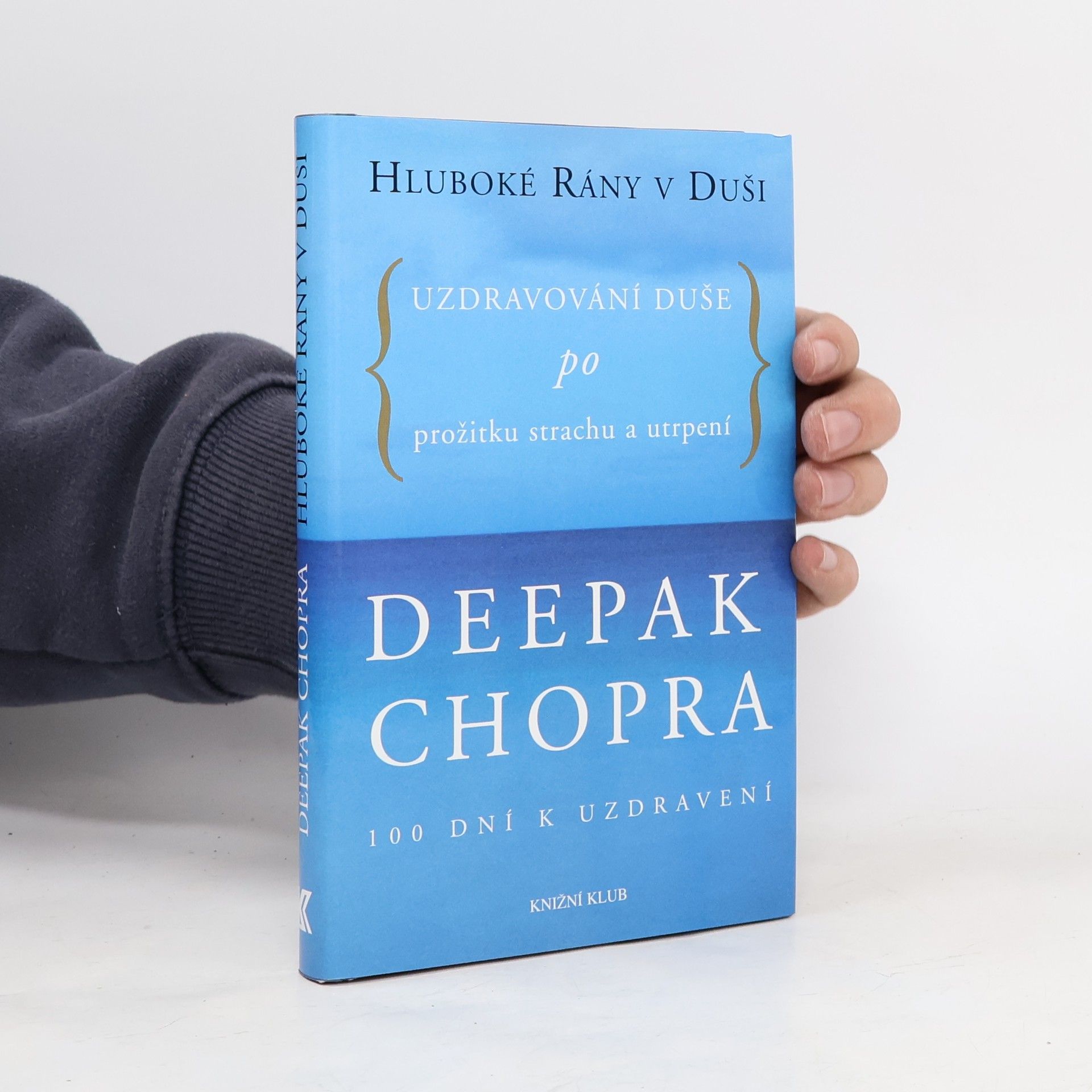 Hluboké rány v duši. Uzdravování duše po prožitku strachu a utrpení. 100 dní k uzdravení