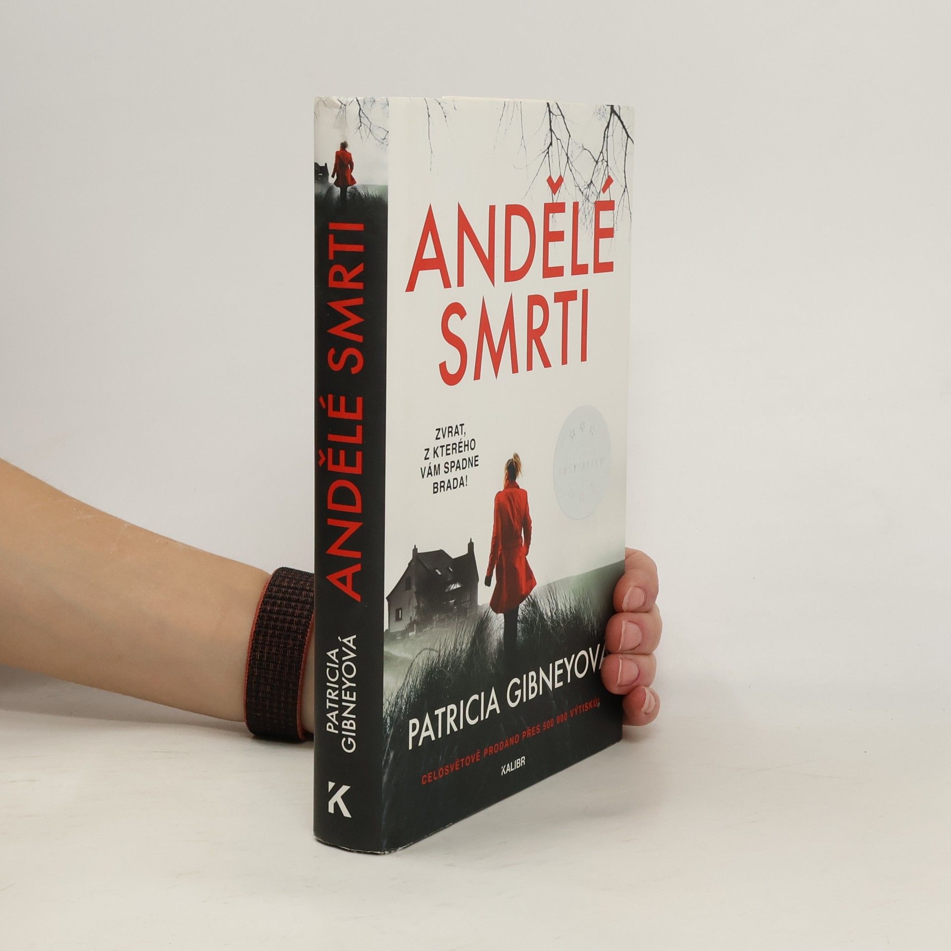 Patricia Gibney Andělé smrti