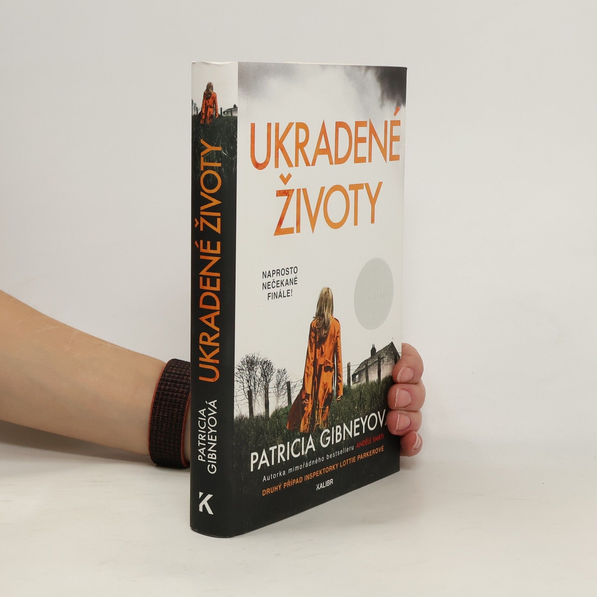 Patricia Gibney Ukradené životy