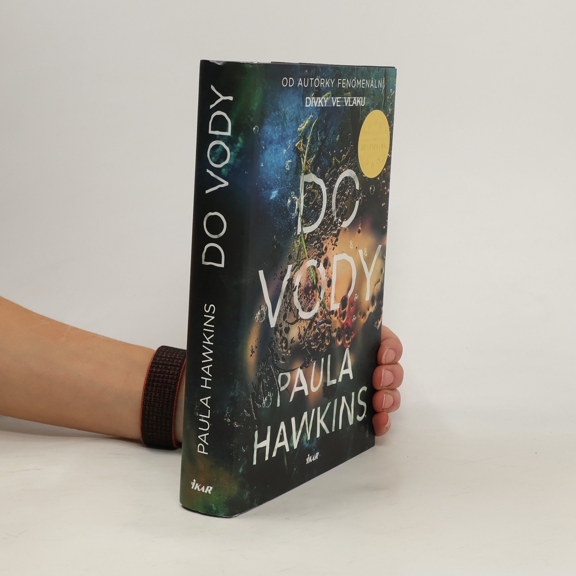 Paula Hawkins Do vody