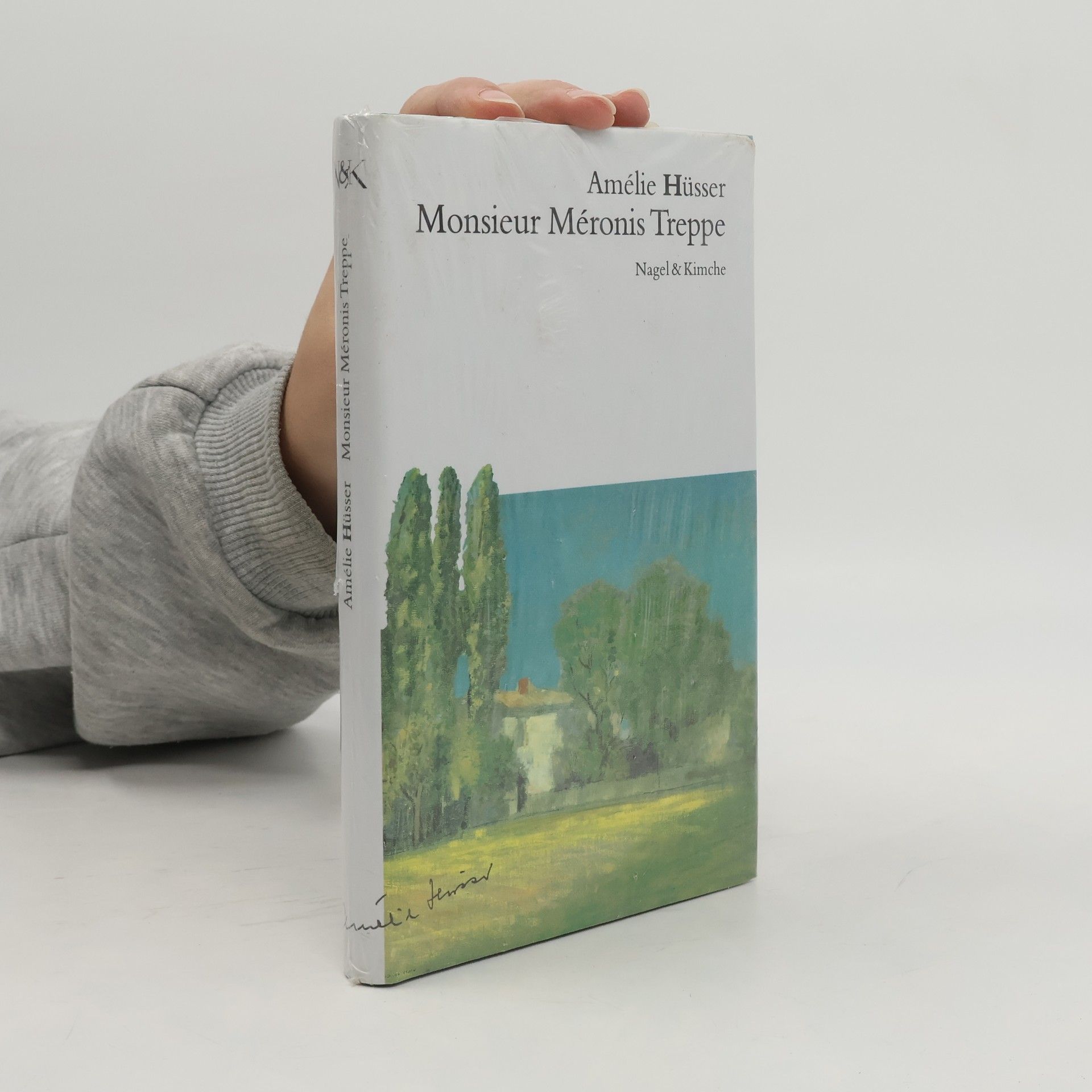 Monsieur Méronis Treppe