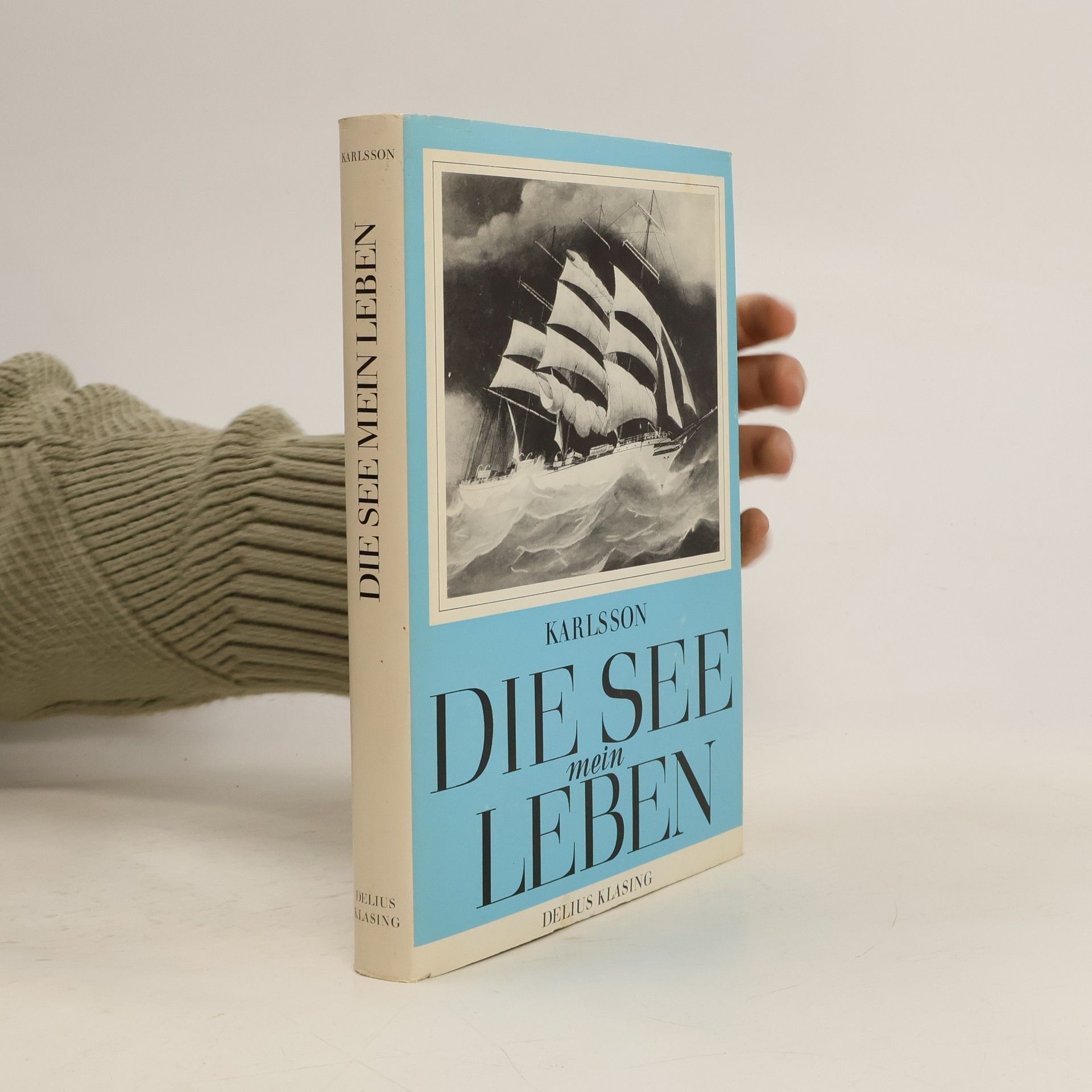 Elis Karlsson Die See mein Leben