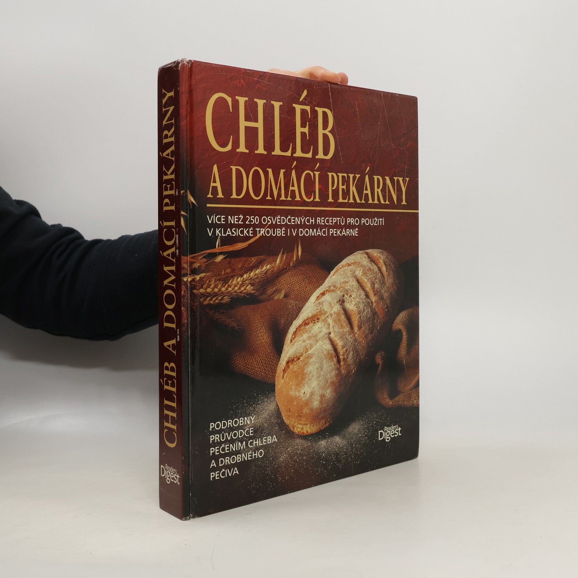 Autorenkollektiv Chléb a domácí pekárny