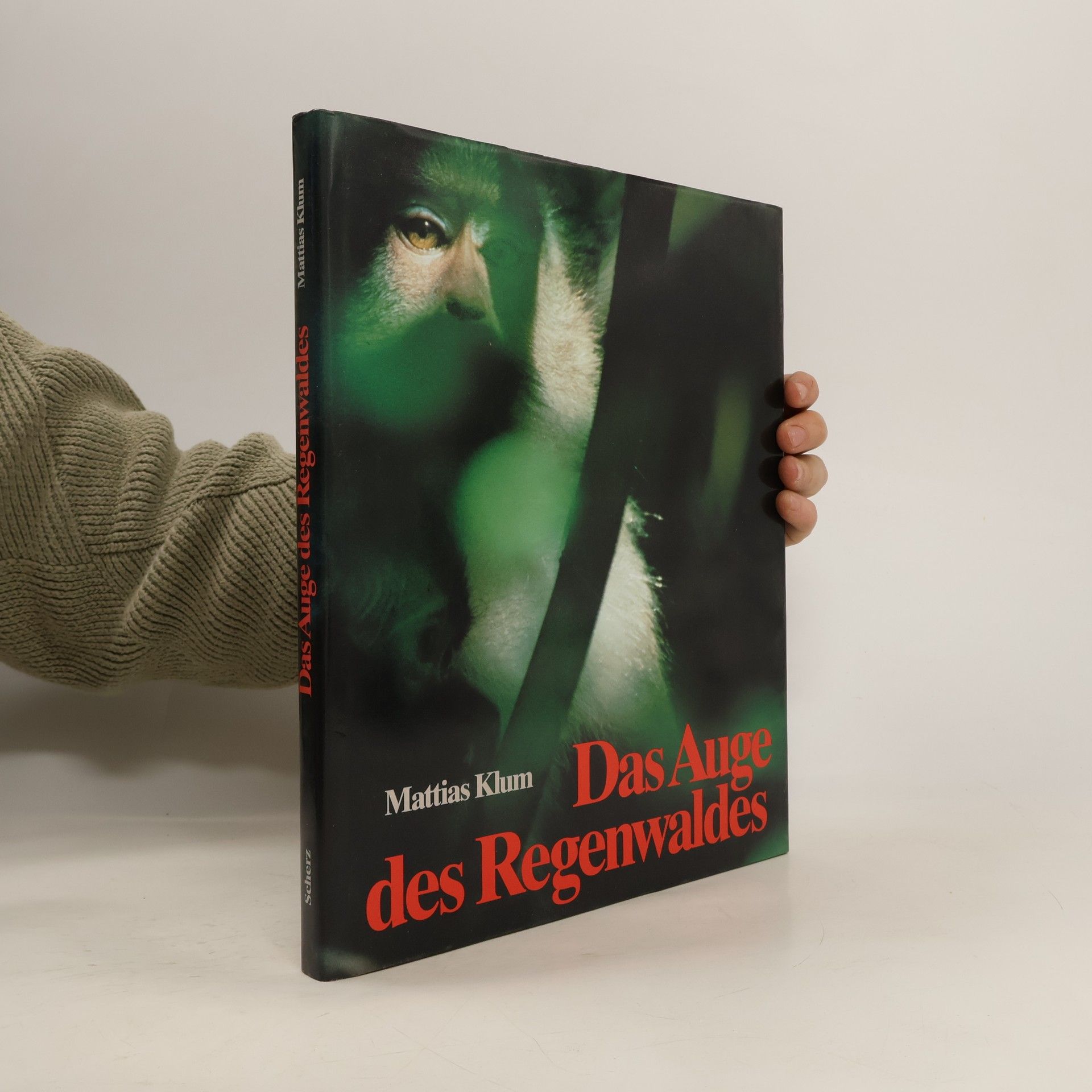 Autorenkollektiv Das Auge des Regenwaldes