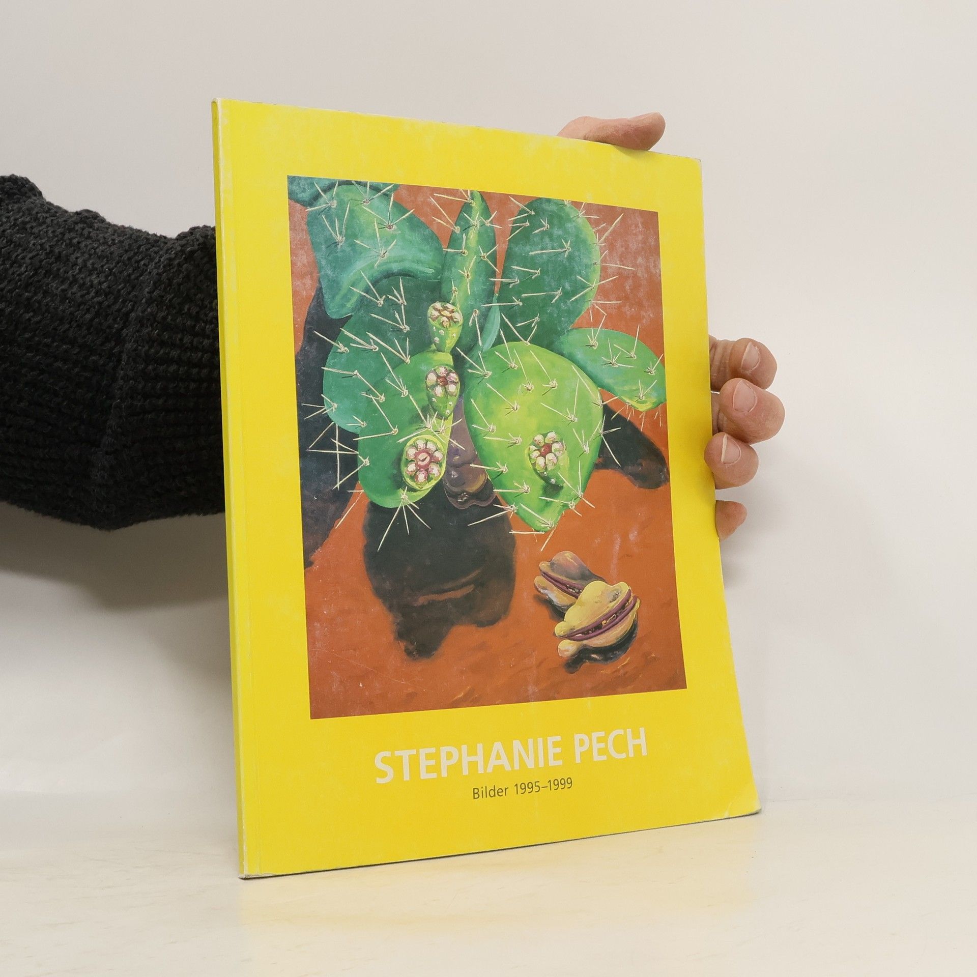 Stephanie Pech. Bilder 1995-1999