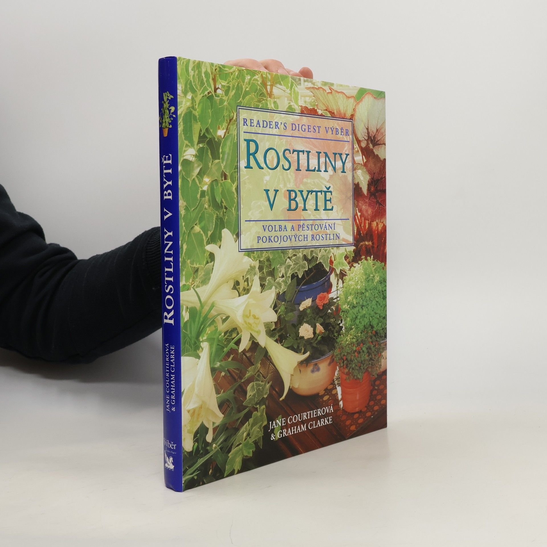 Rostliny v bytě. Základní pomocník při výběru a péči o pokojové rostliny