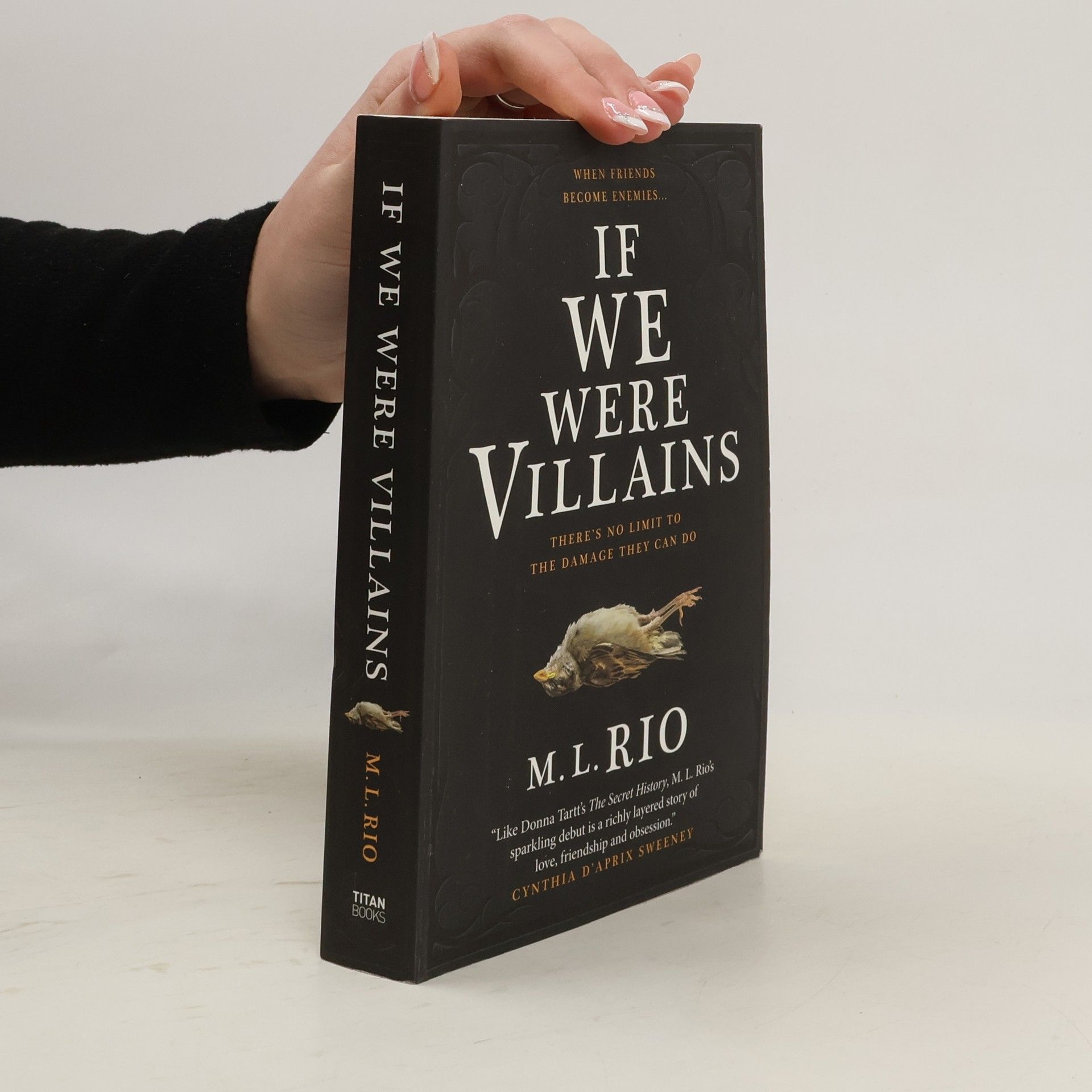 M. L. Rio If We Were Villains