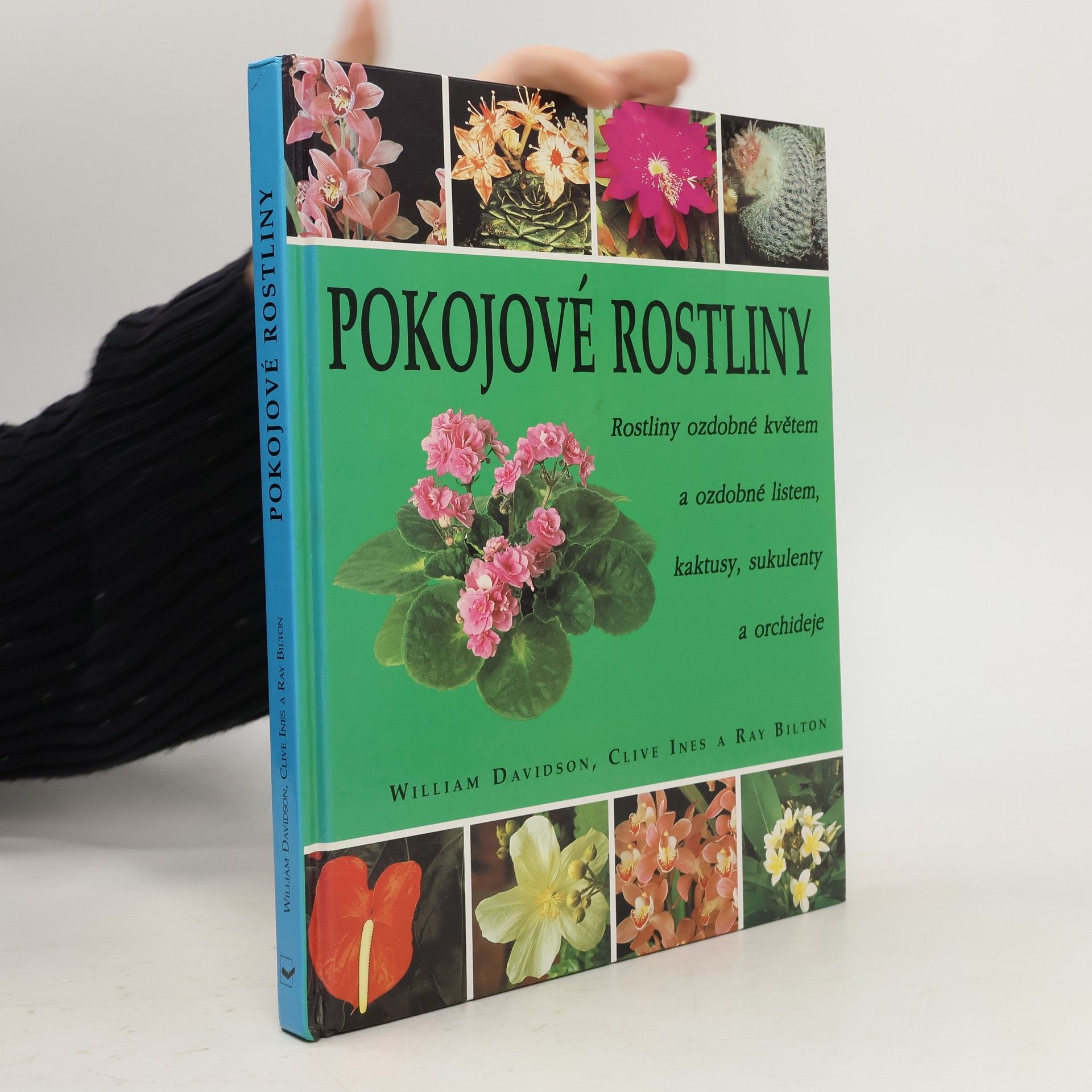 Pokojové rostliny: Rostliny ozdobné květem a ozdobné listem, kaktusy, sukulenty a orchideje
