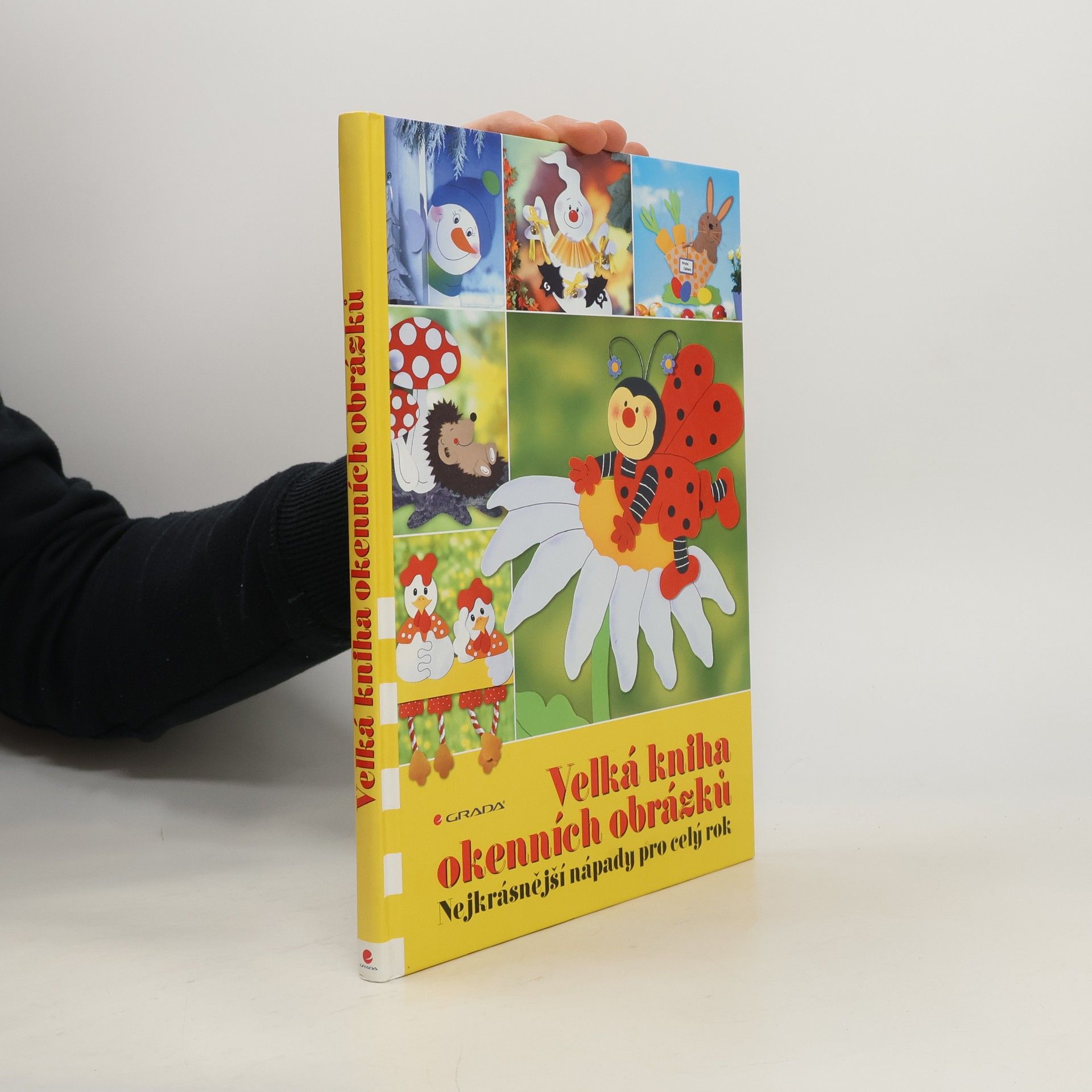 Kolektiv autorů Velká kniha okenních obrázků