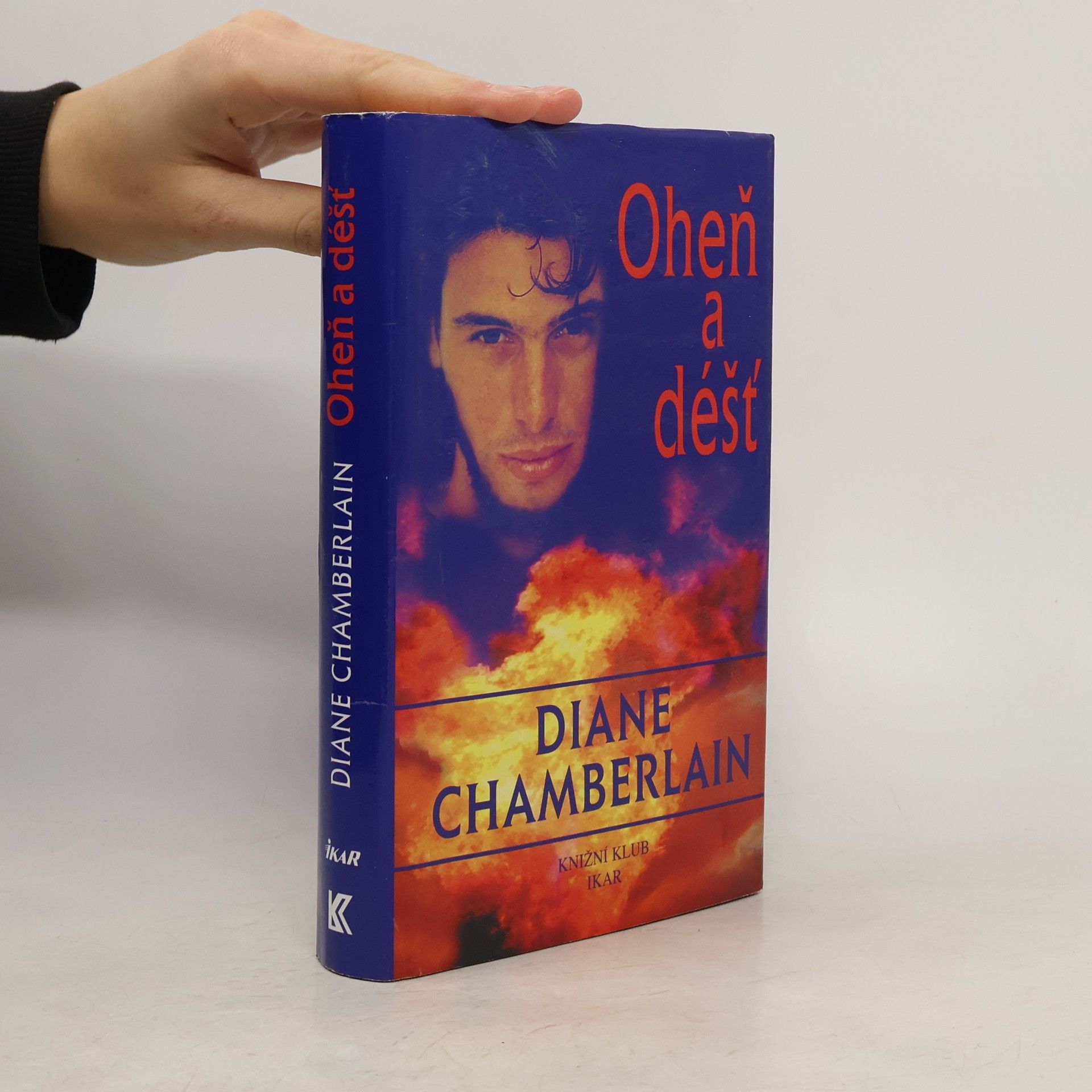 Diane Chamberlain Oheň a déšť
