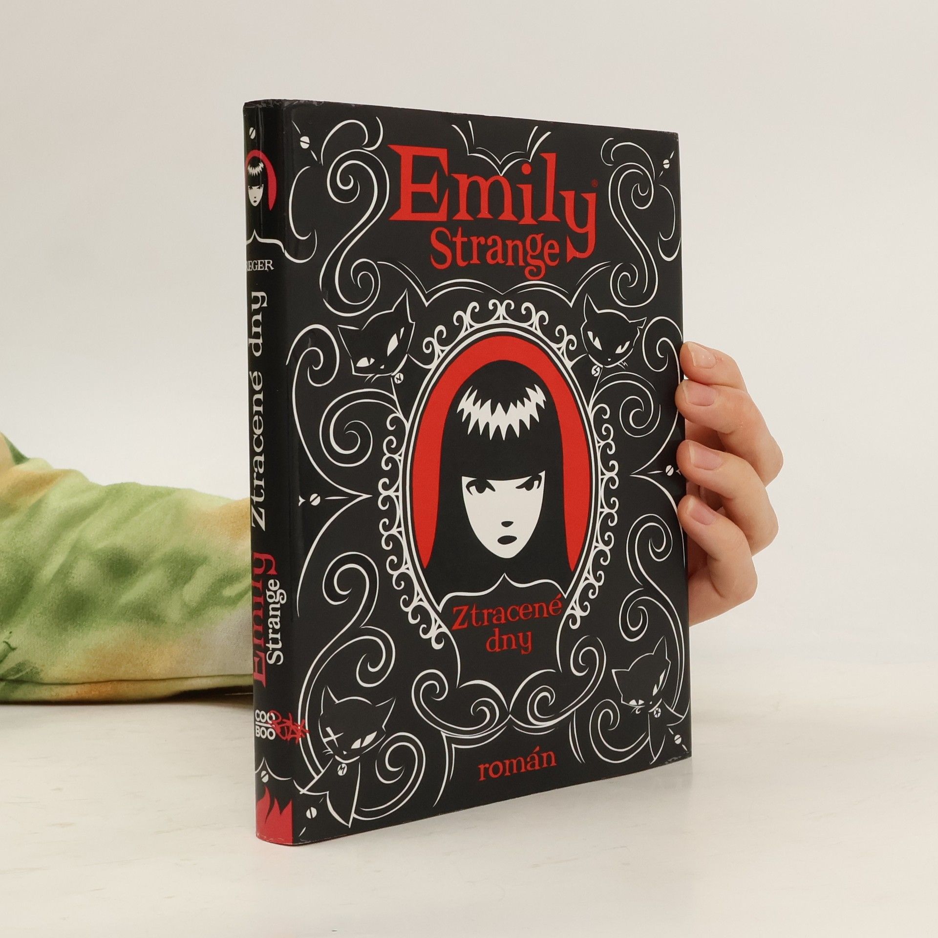 Emily Strange. Ztracené dny