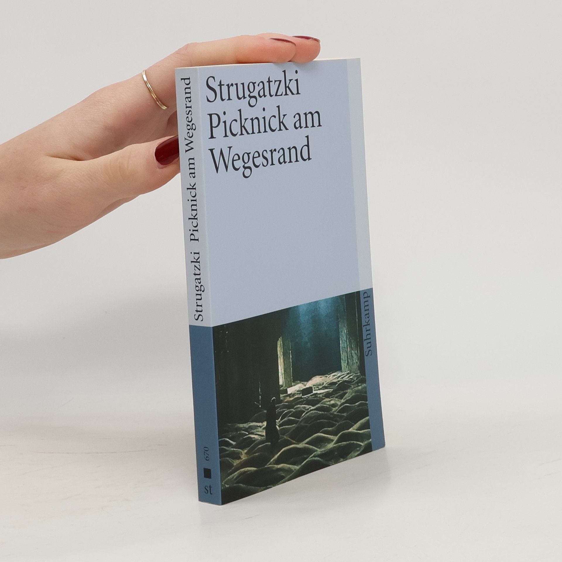 Arkadij Natanovič Strugackij Picknick am Wegesrand