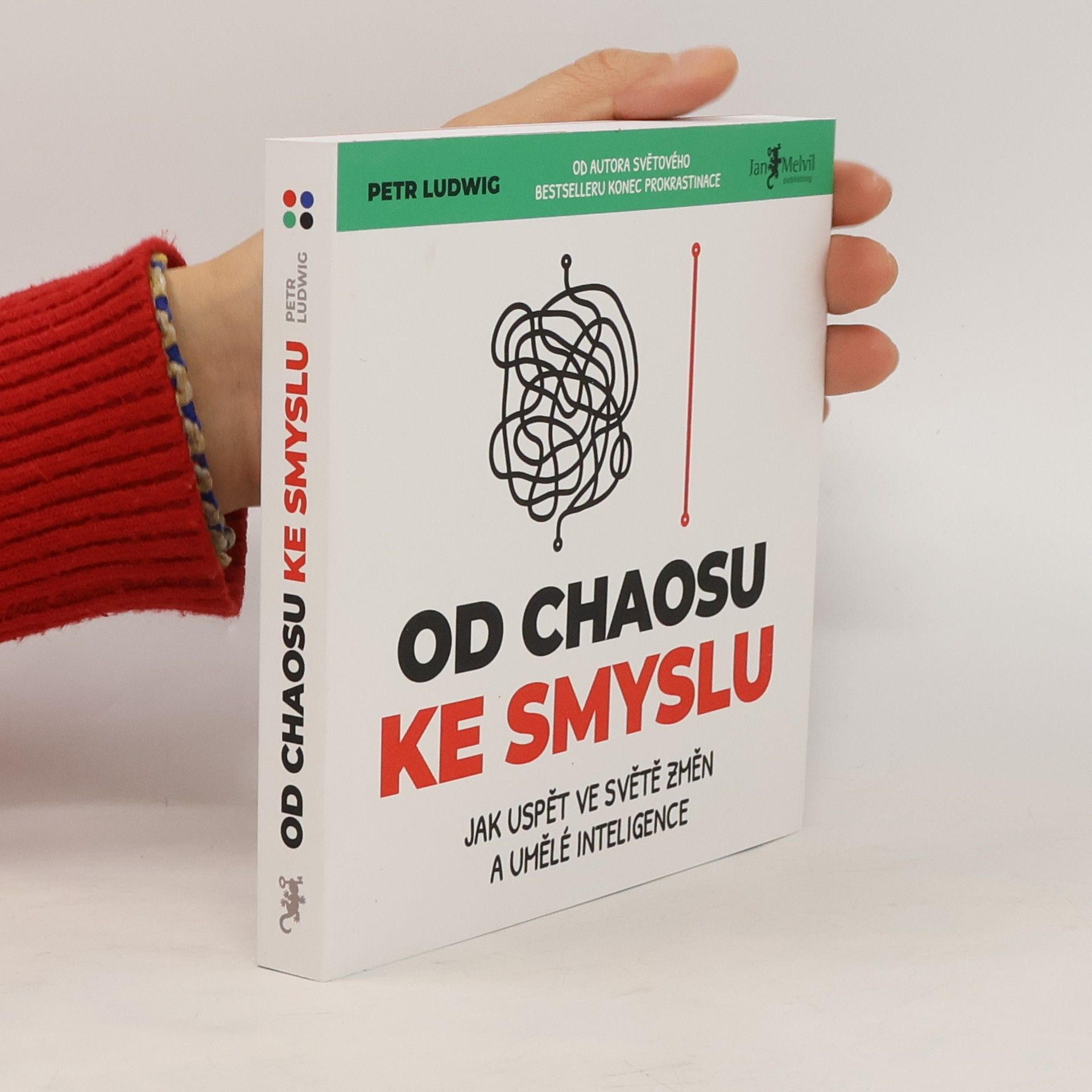 Od chaosu ke smyslu