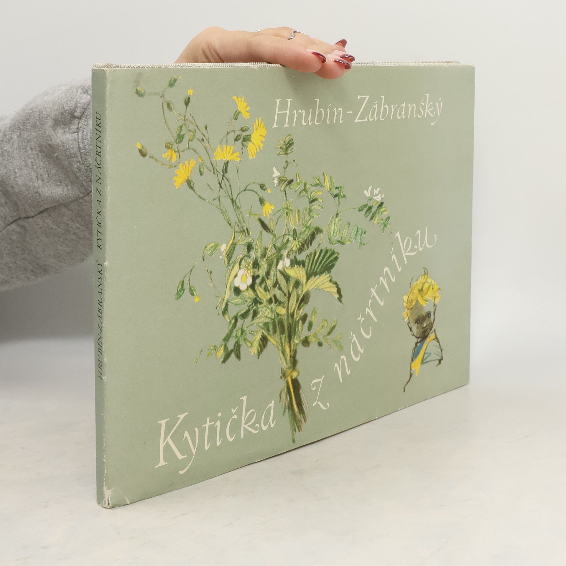 František Hrubín Kytička z náčrtníku