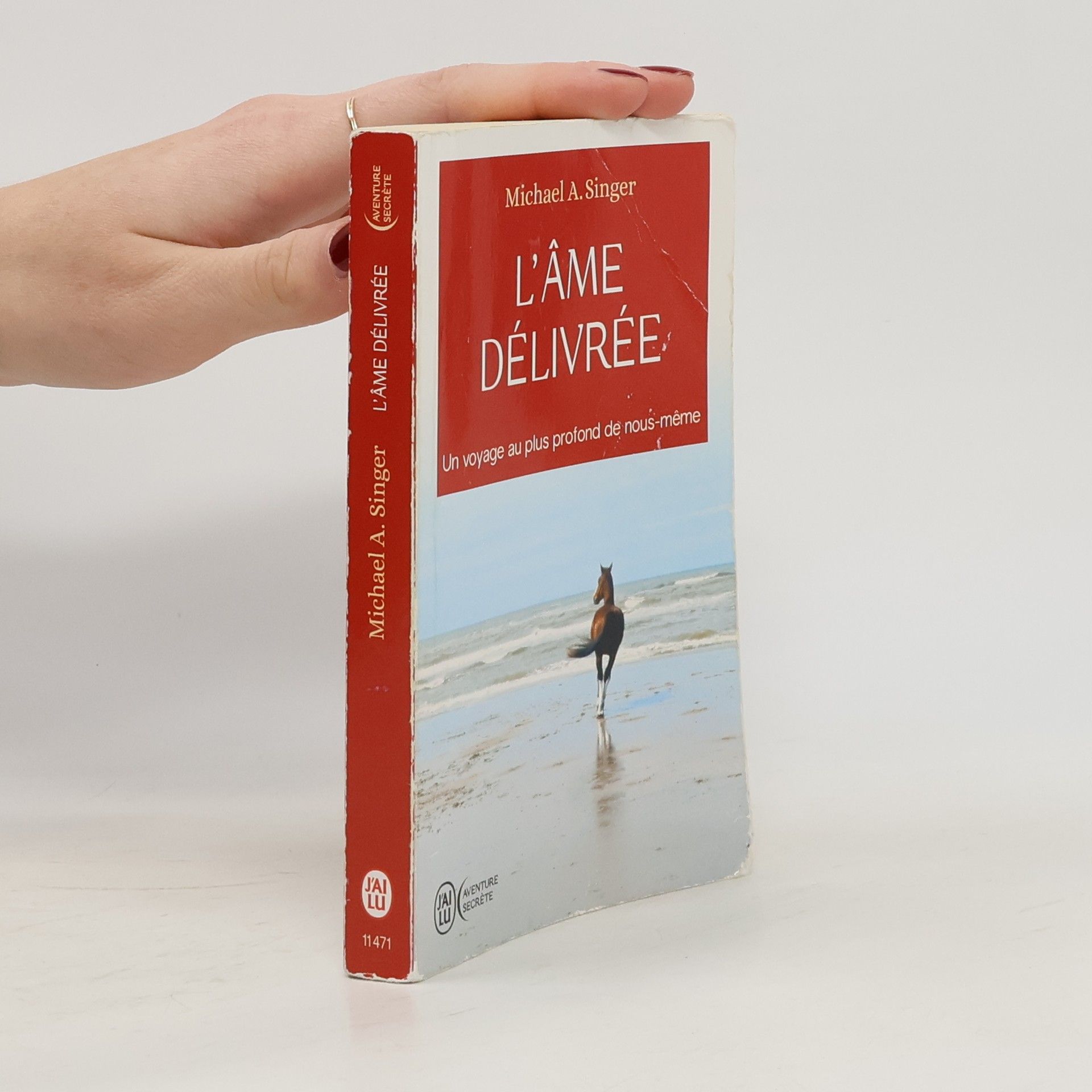 Michael A. Singer L'âme délivrée