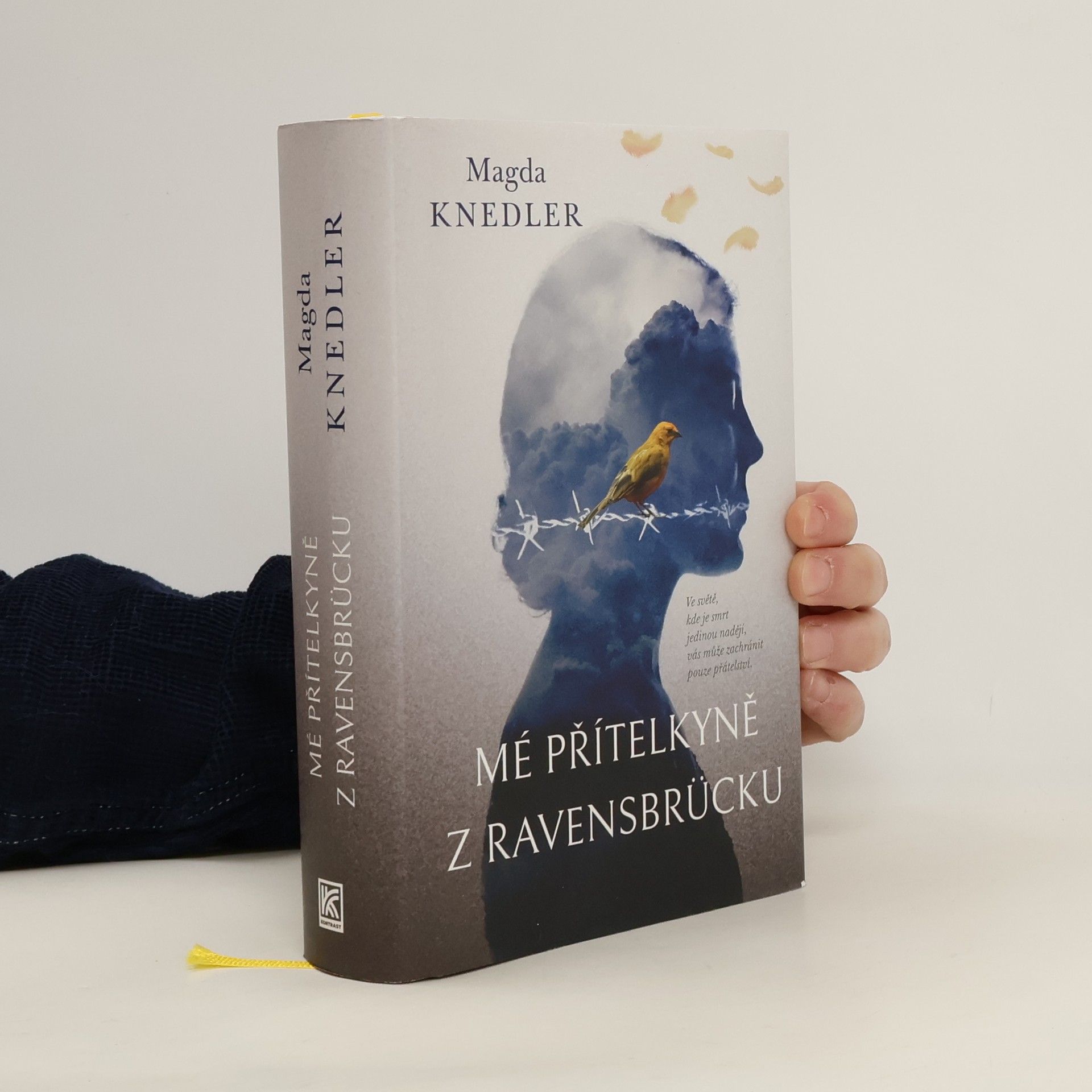 Magdalena Knedler Mé přítelkyně z Ravensbrücku