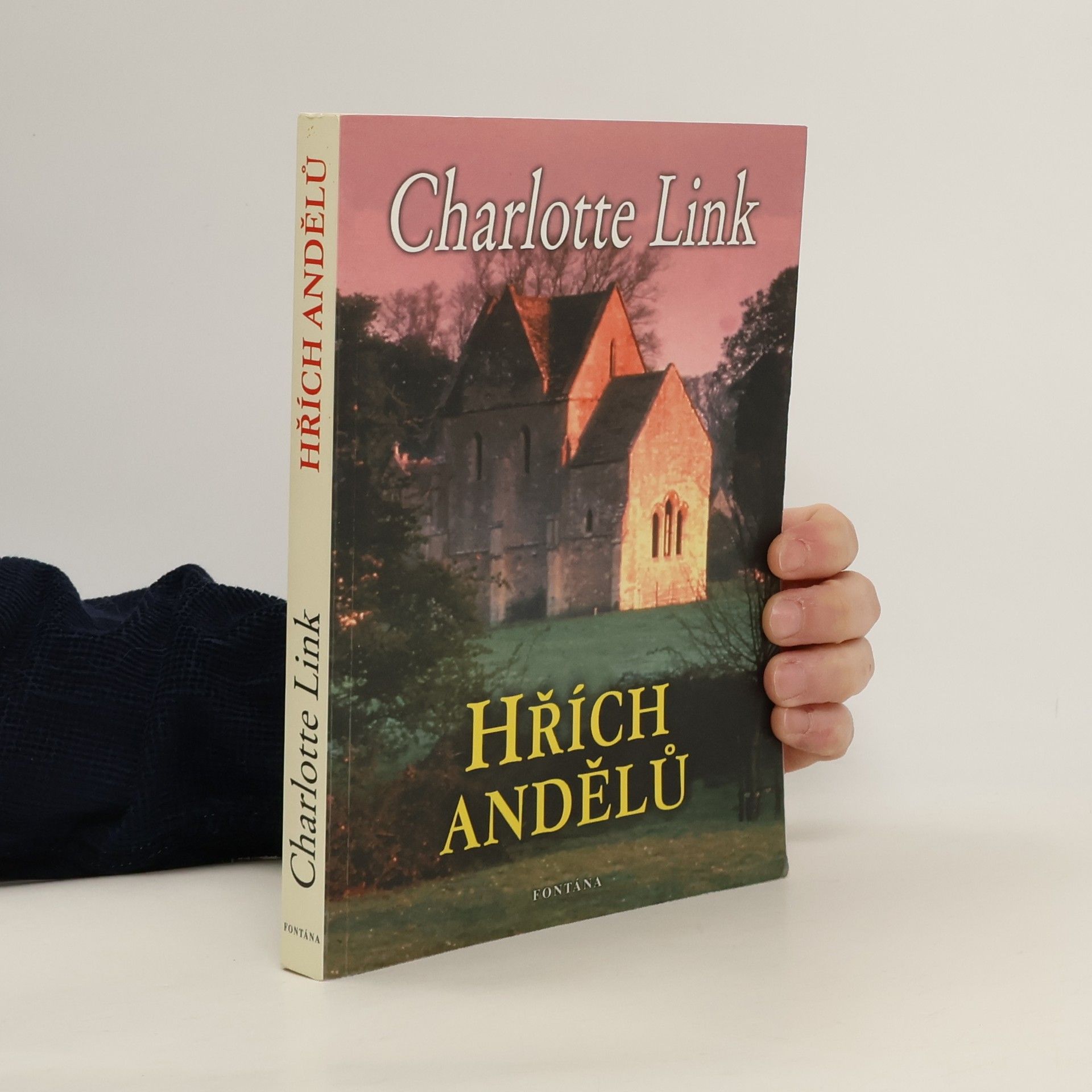 Charlotte Link Hřích andělů