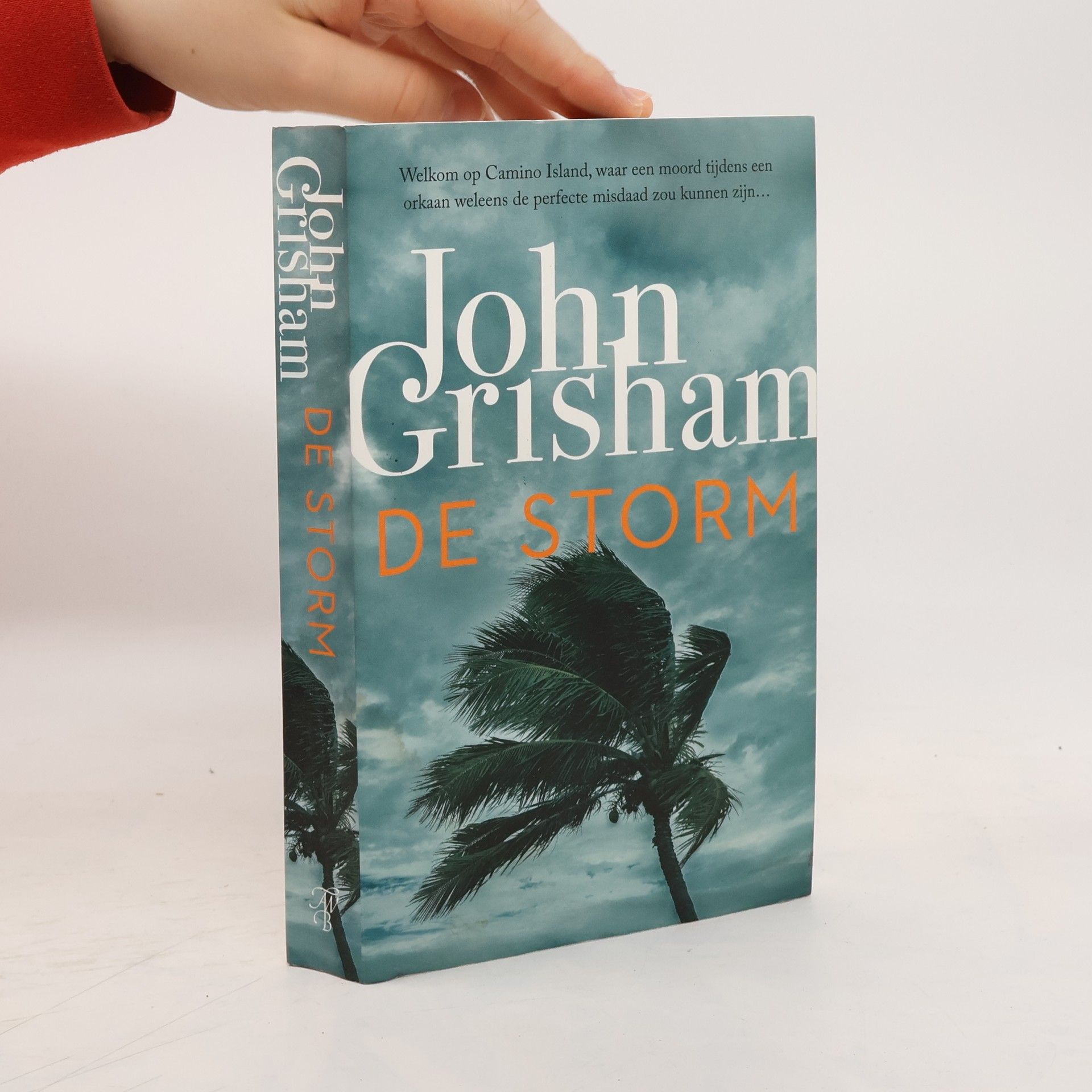 John Grisham De storm