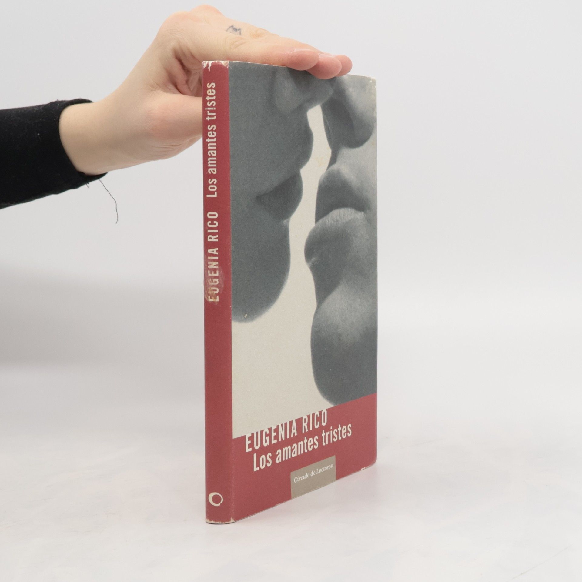 Eugenia Rico Los amantes tristes