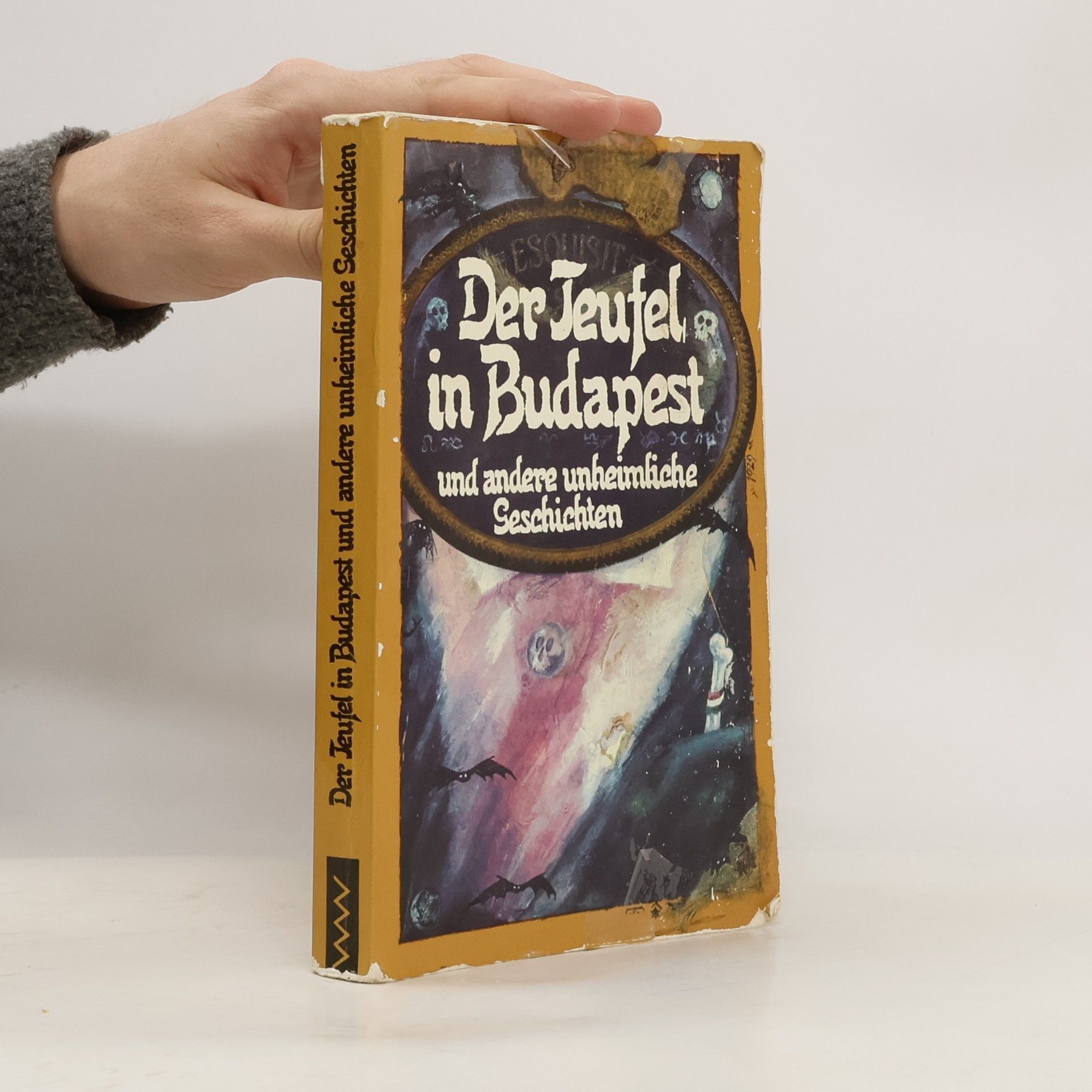 Mátyás Domokos Der Teufel in Budapest und andere unheimliche Geschichten