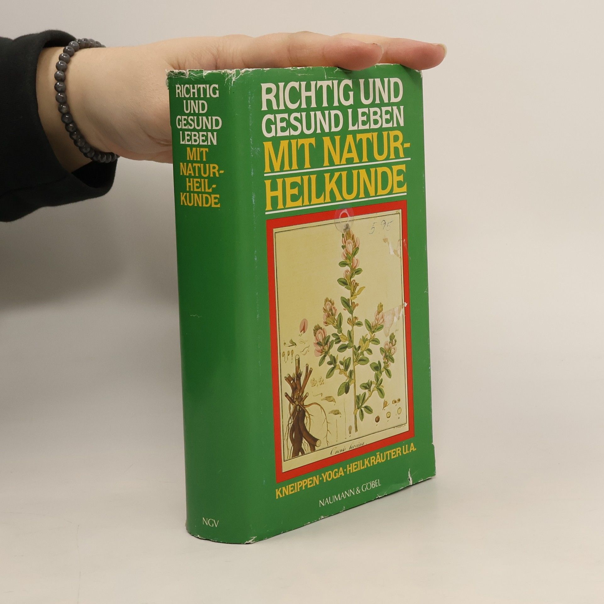 Autorenkollektiv Richtig und gesund leben mit Naturheilkunde