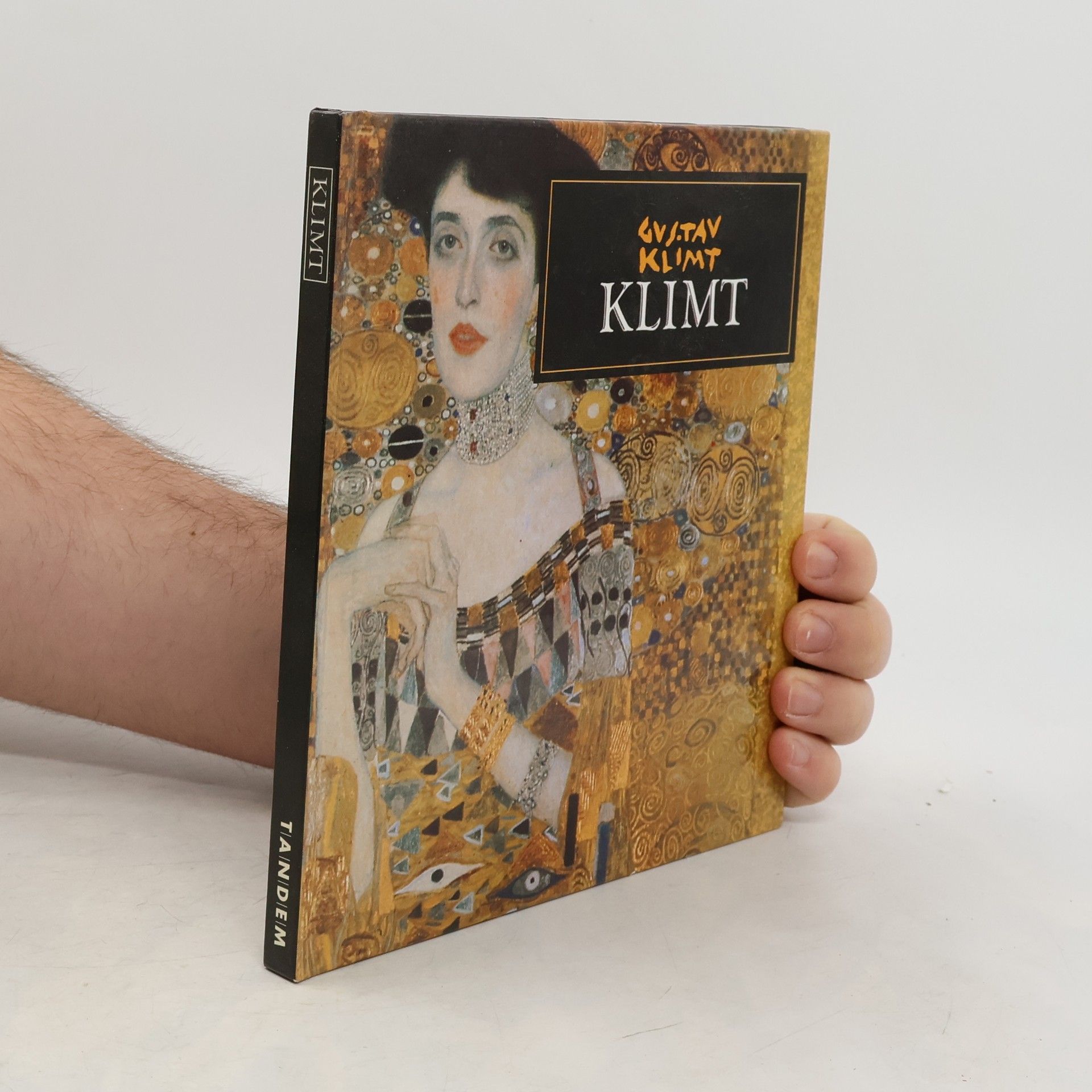 Kolektív autorov Gustav Klimt