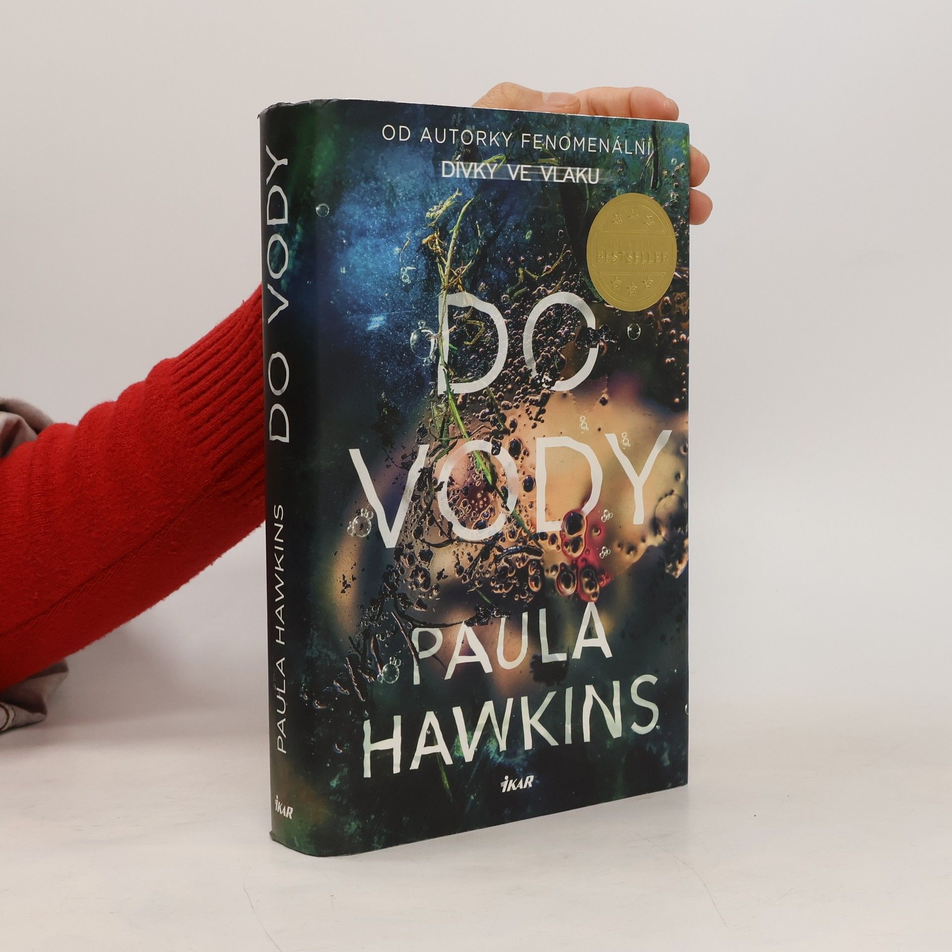 Paula Hawkins Do vody