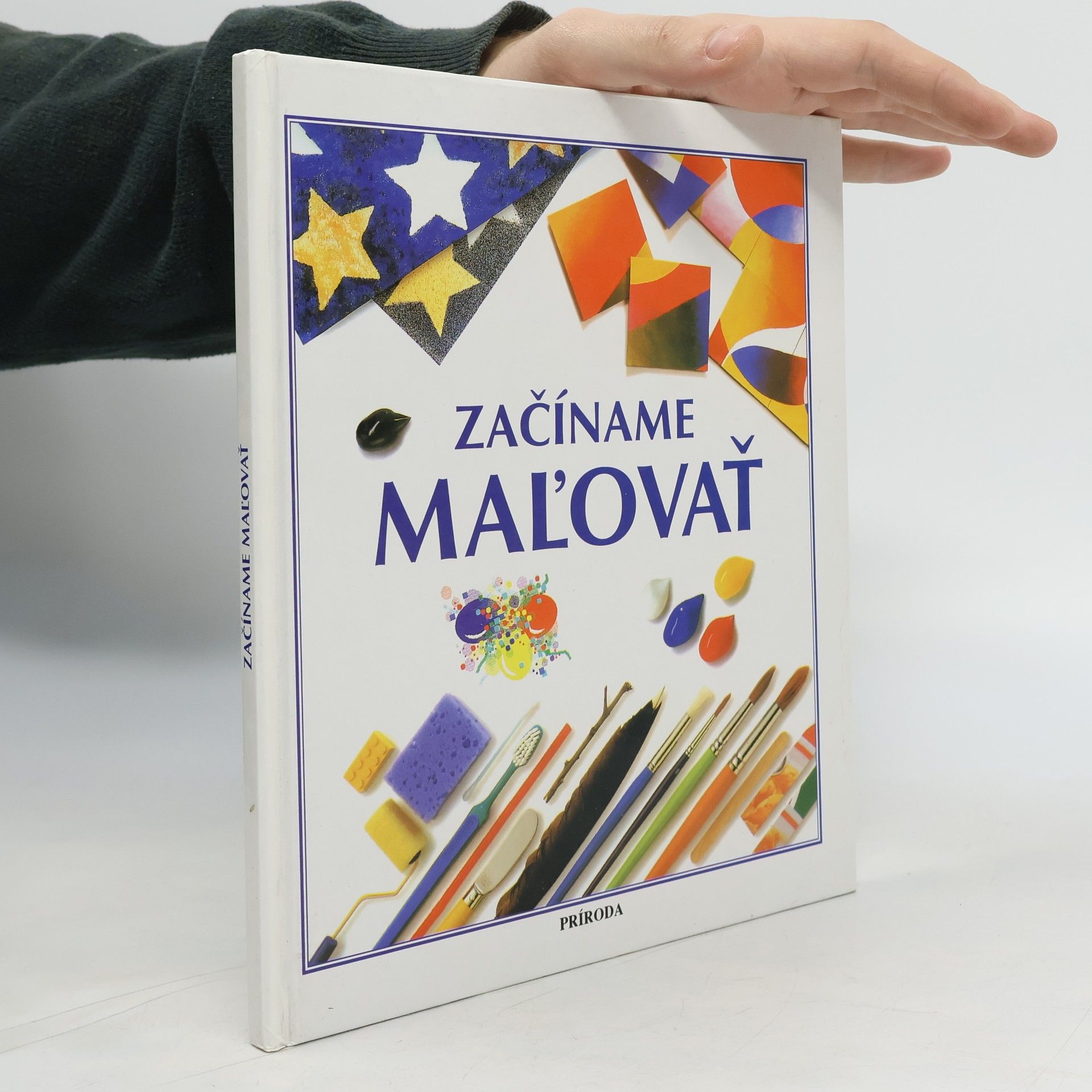 Susan Mayes Začíname maľovať