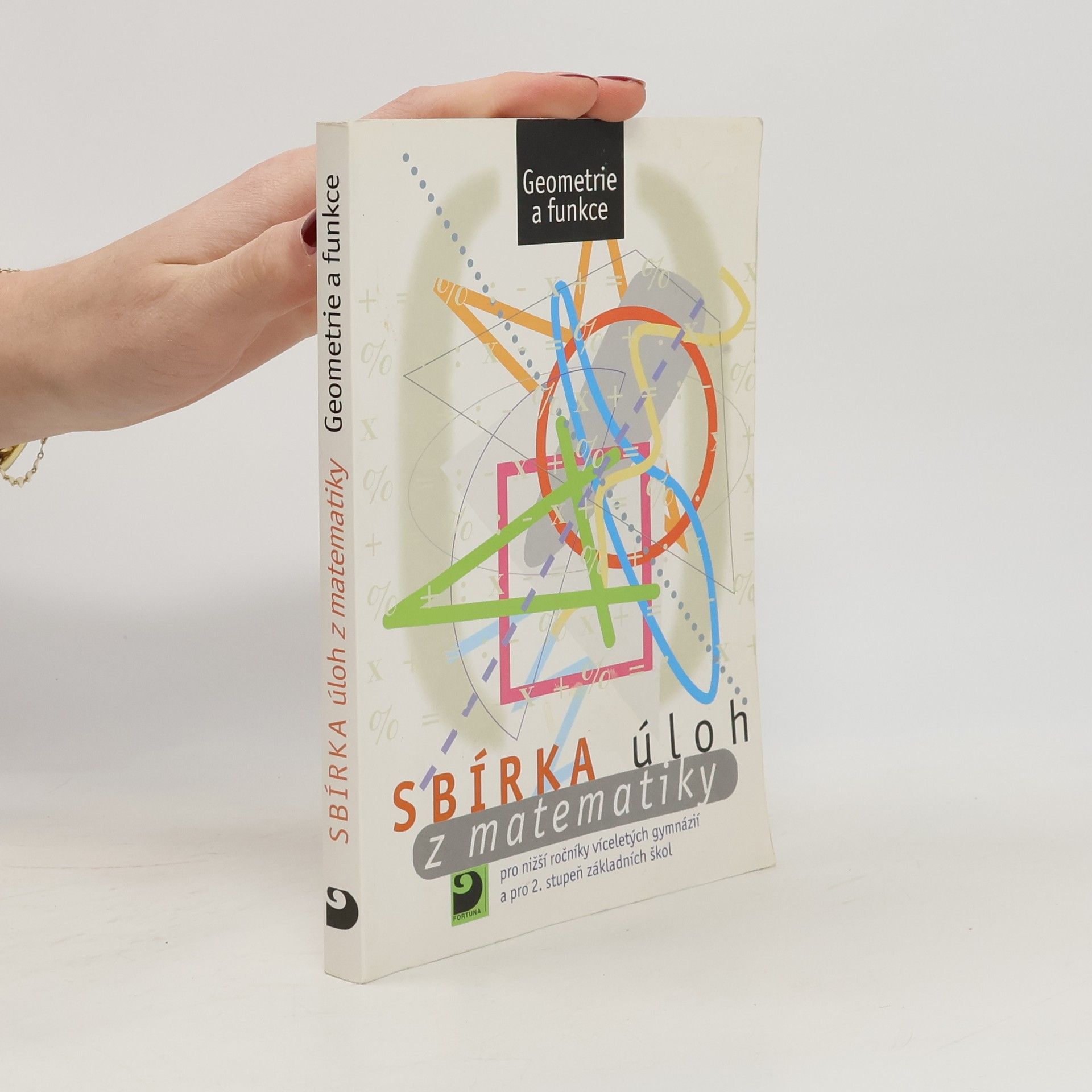 Sbírka úloh z matematiky pro nižší ročníky víceletých gymnázií a pro 2. stupeň základních škol: Geometrie a funkce