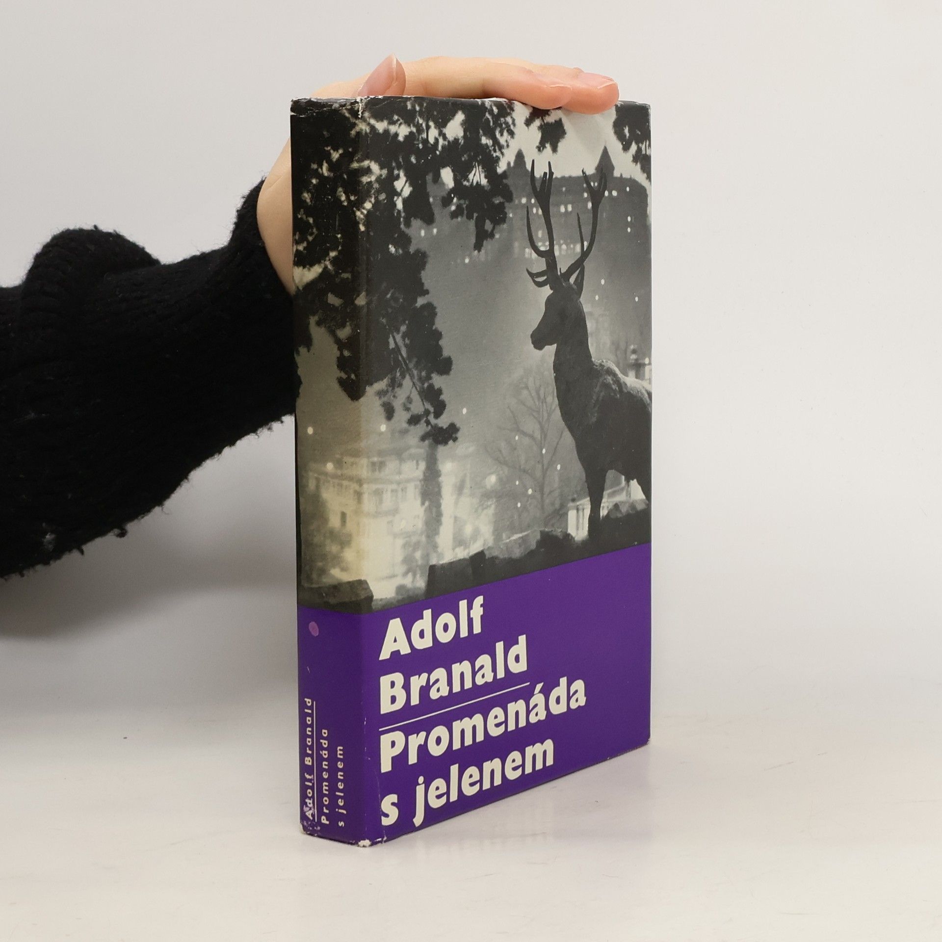 Adolf Branald Promenáda s jelenem