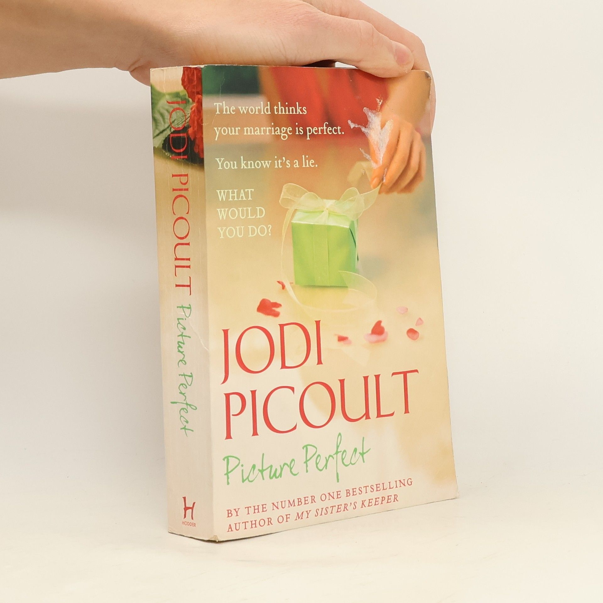 Jodi Picoult Picture perfect