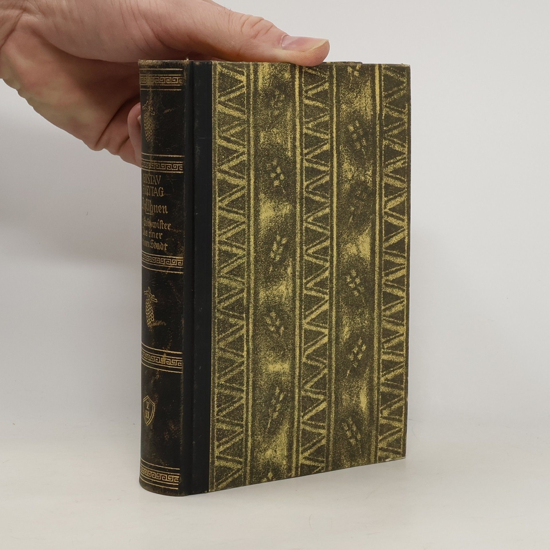 Gustav Freytag Die Ahnen. Band V - VI. Die Geschwister und Aus einer kleinen Stadt