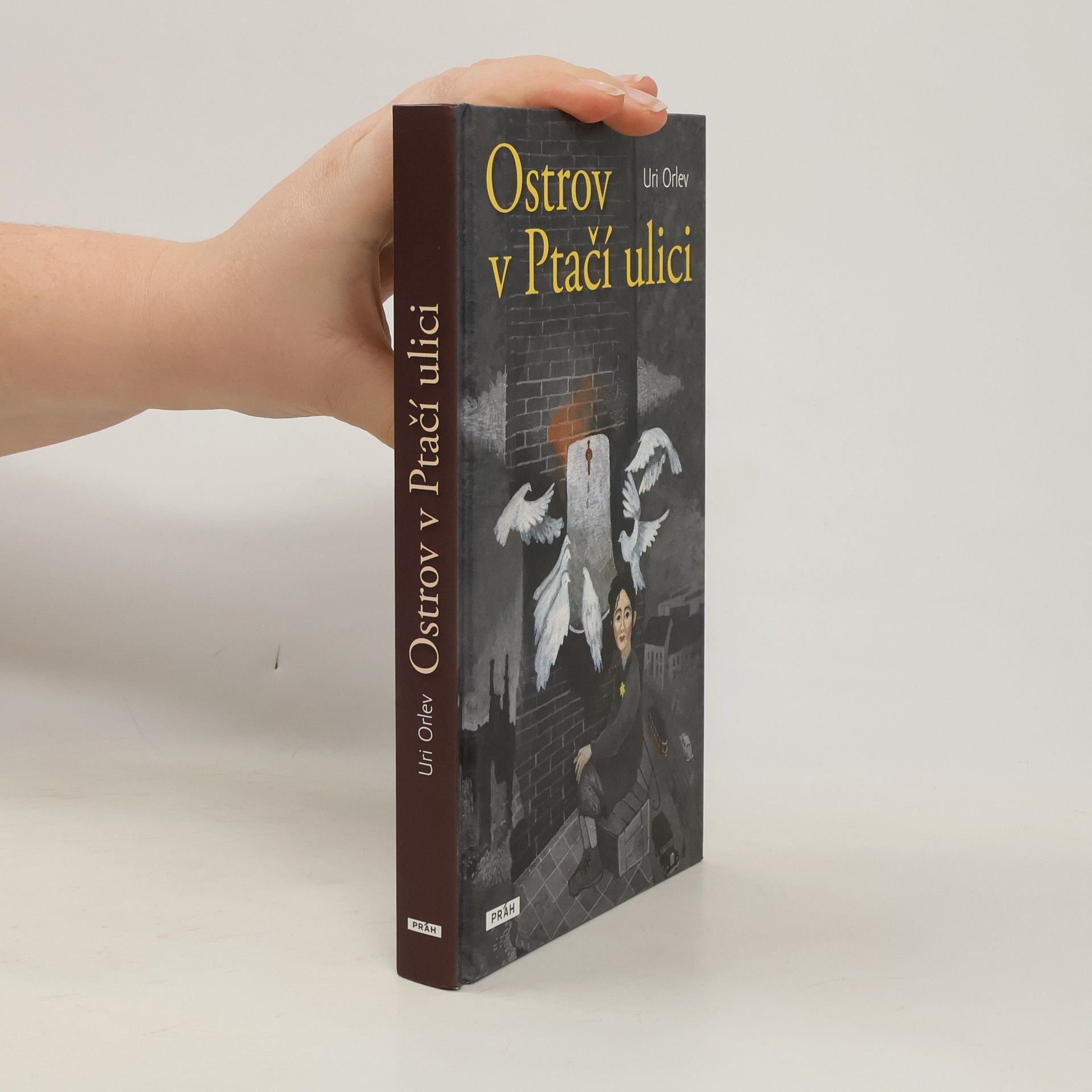 Ostrov v Ptačí ulici