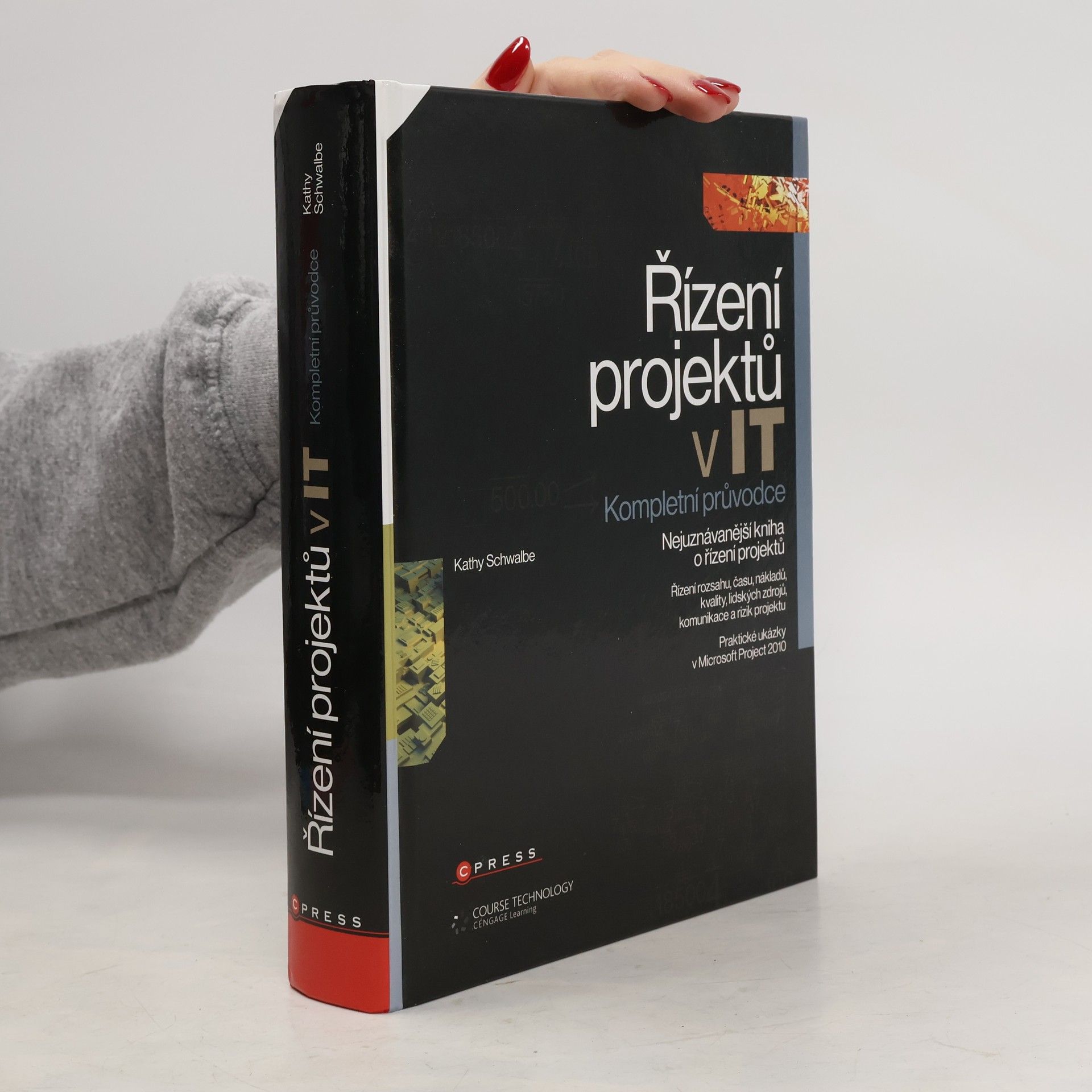 Řízení projektů v IT : kompletní průvodce