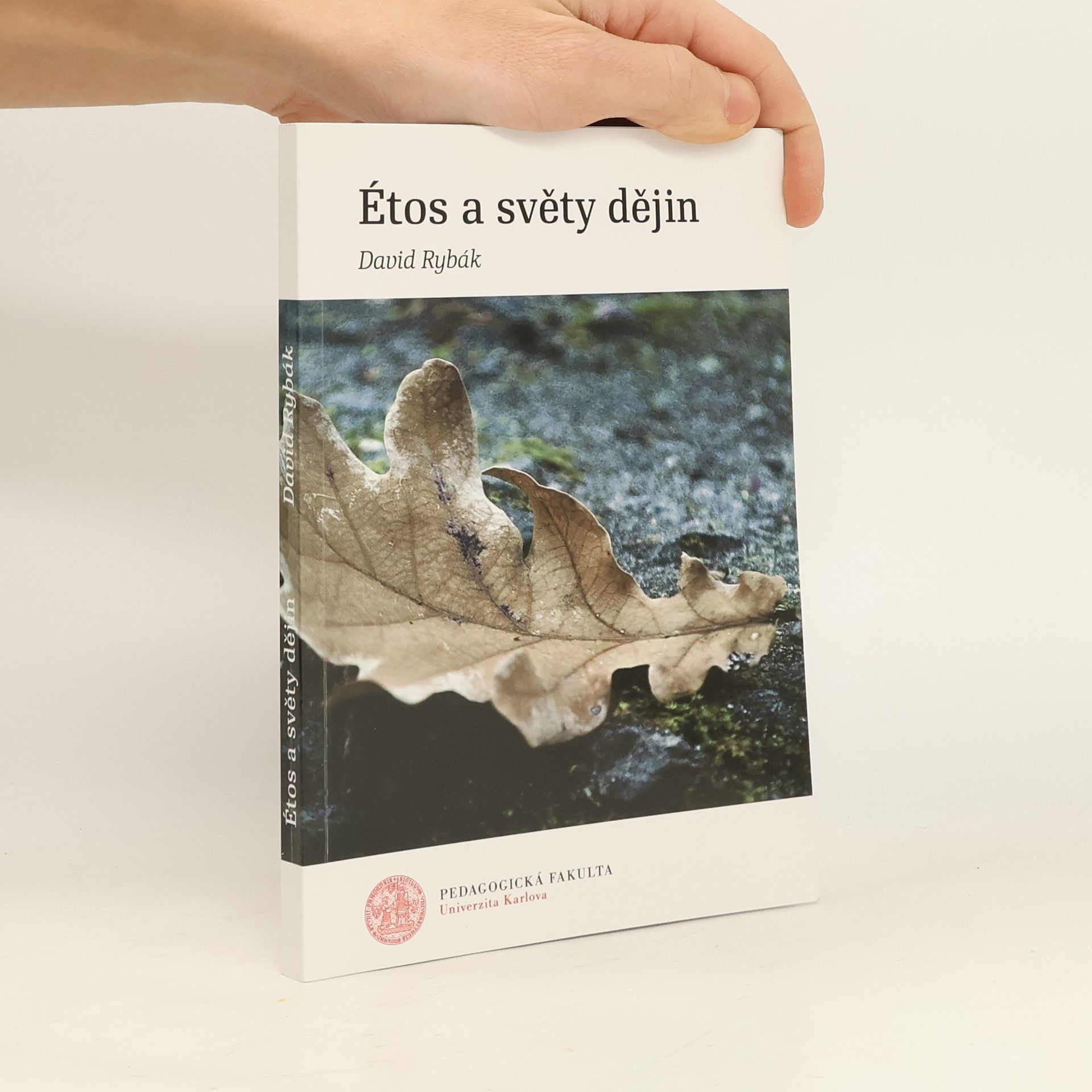 David Rybák Étos a světy dějin